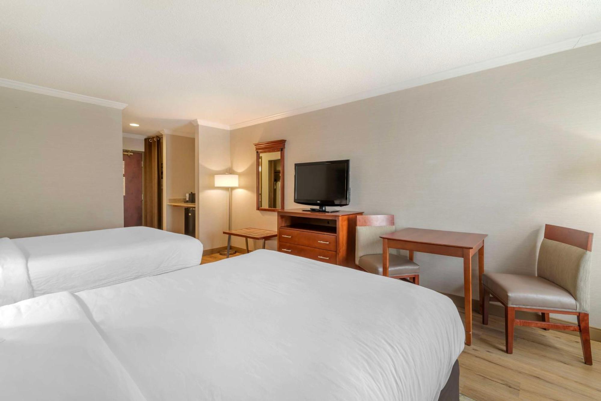 Queen Suite Two Queen Beds Sofa-Bed Non-Smoking