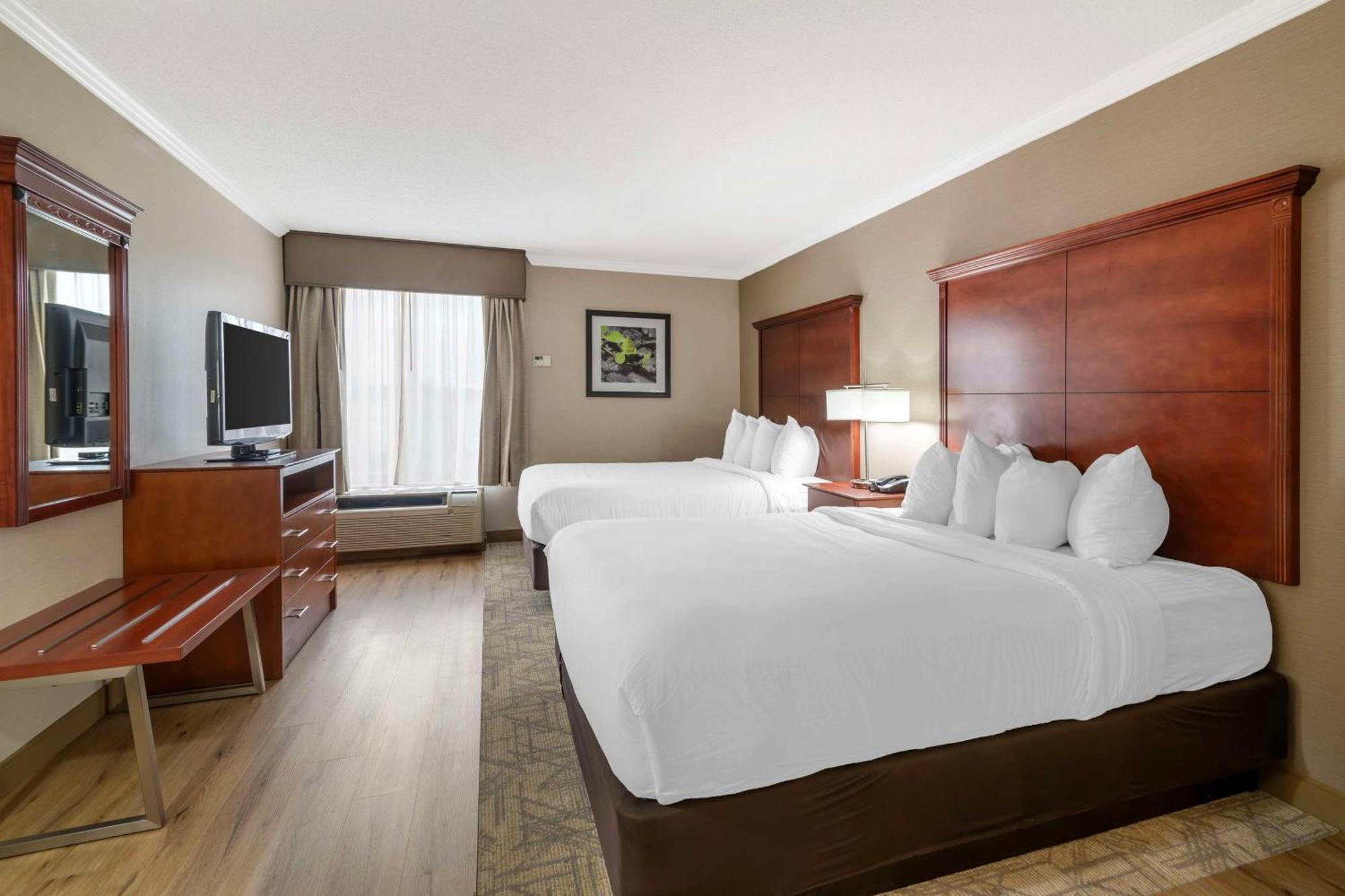 Queen Suite Two Queen Beds Sofa-Bed Non-Smoking