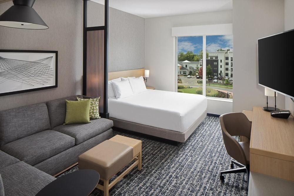 Standard King Room Sofa Bed