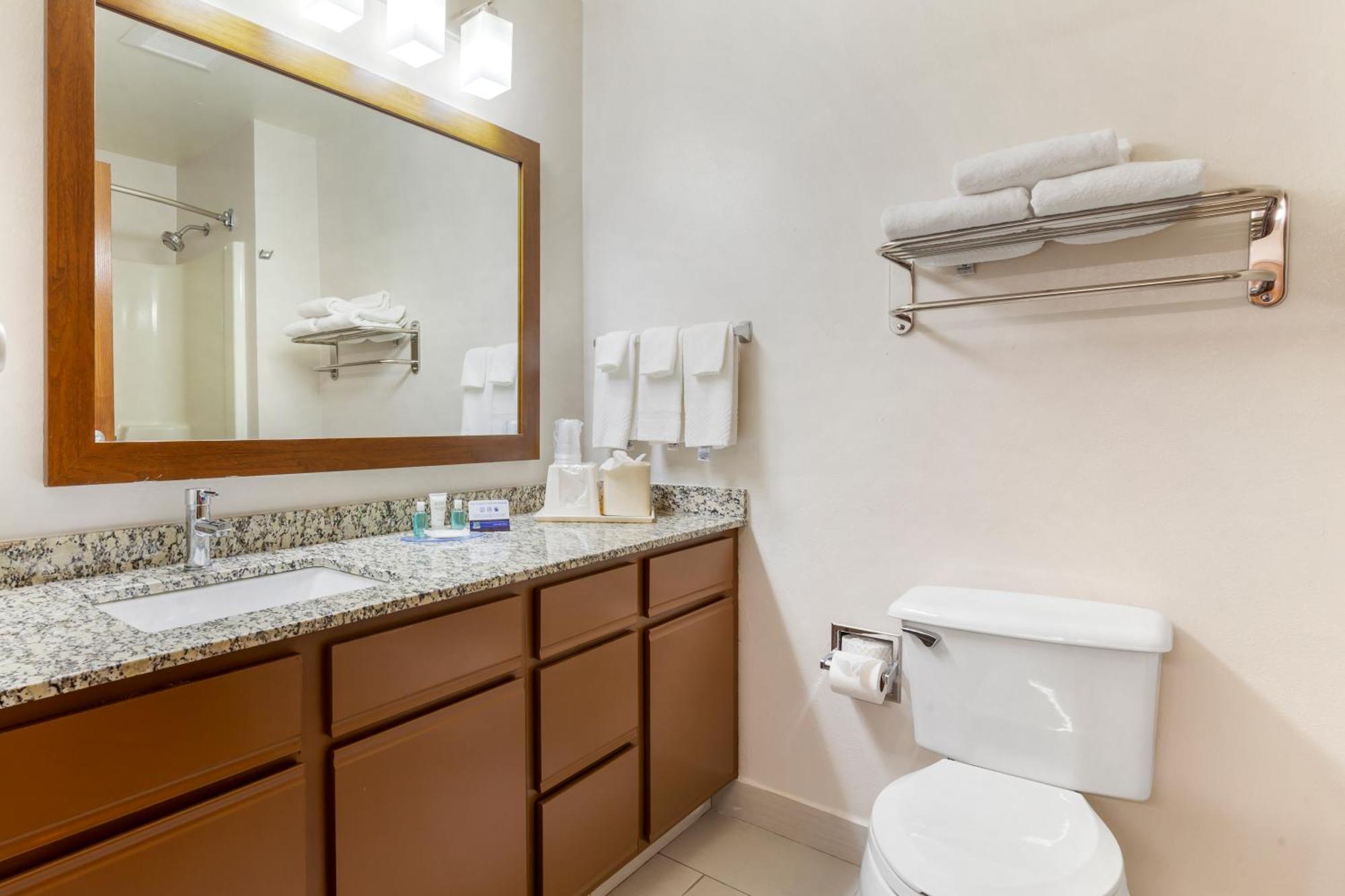 One-Bedroom Queen Suite Non-Smoking