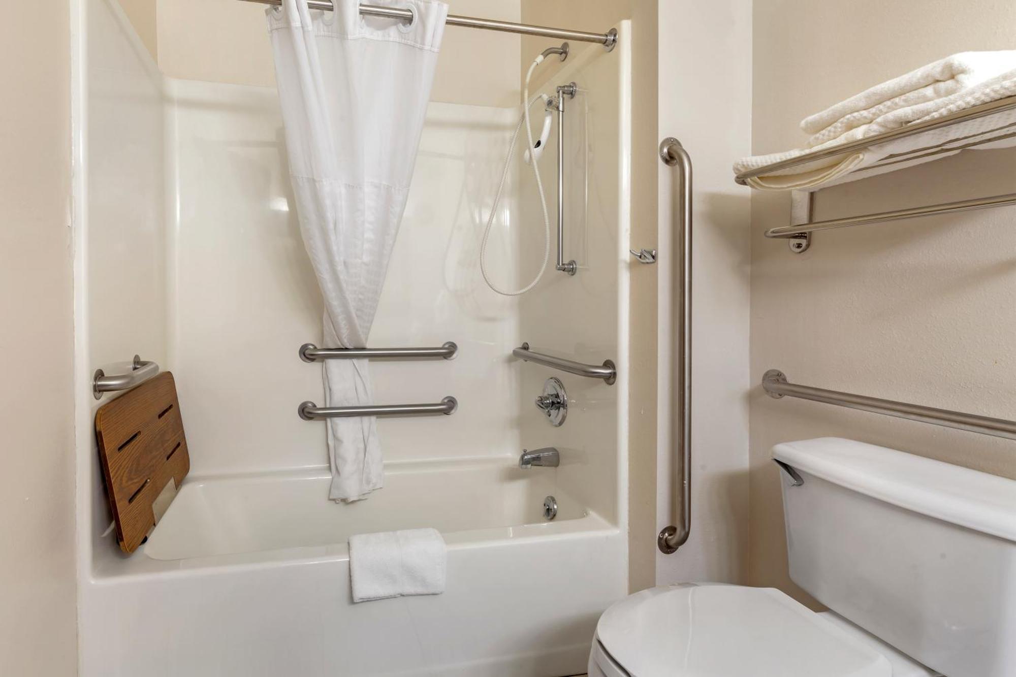 Queen Suite with Roll In Shower - Accessible/Non-Smoking