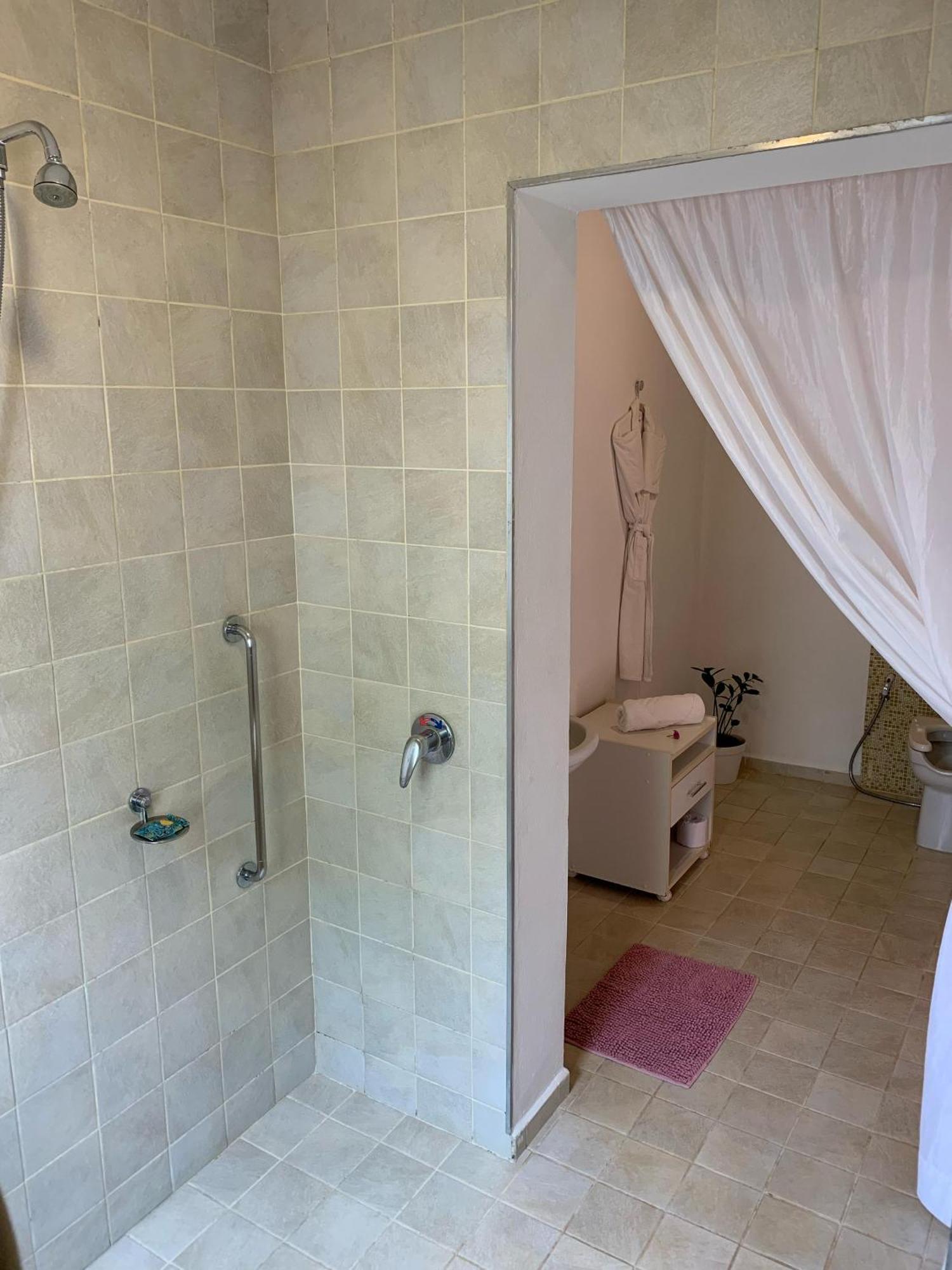King Room Roll Shower Disability Access