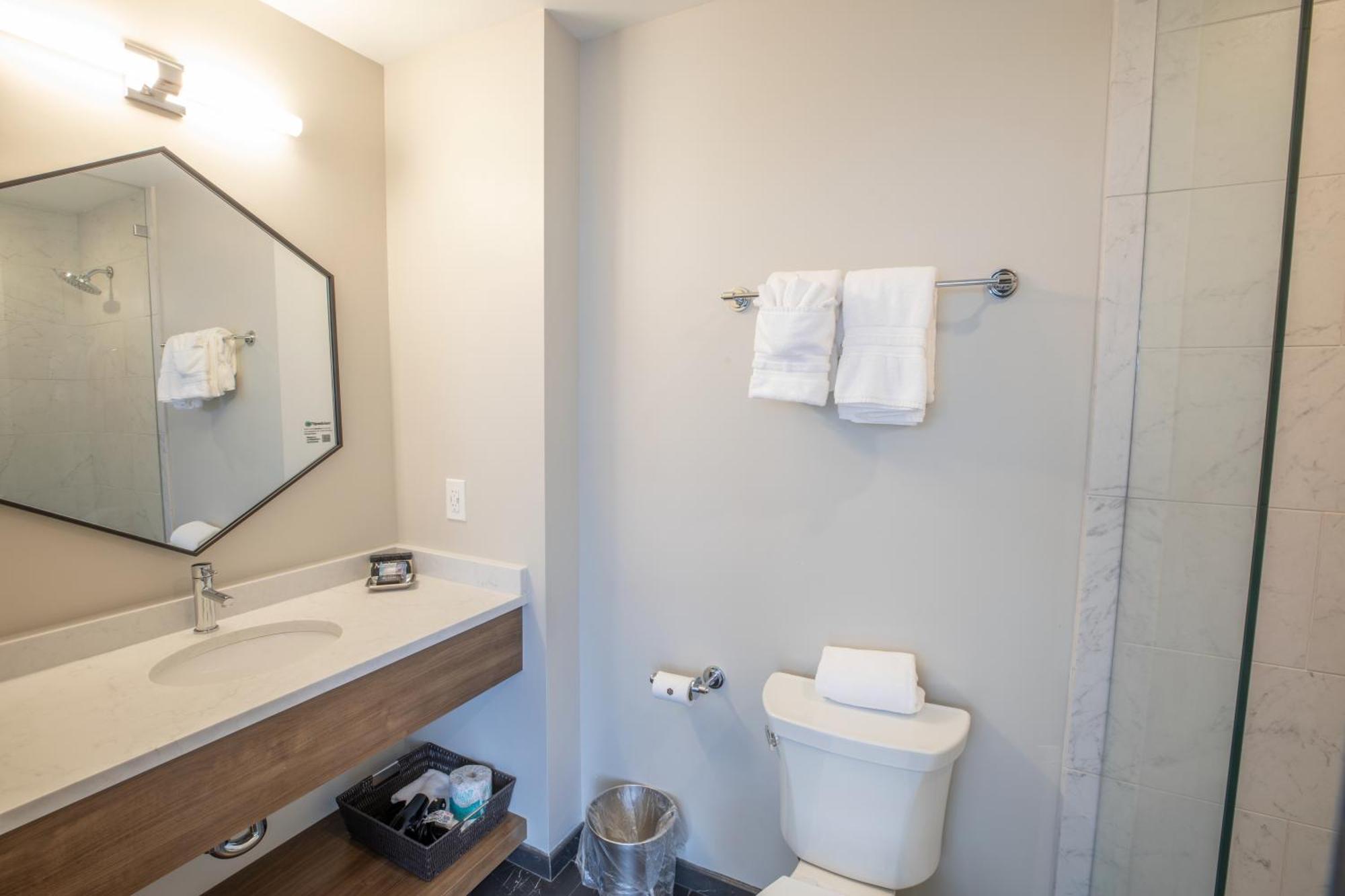 Deluxe King Suite