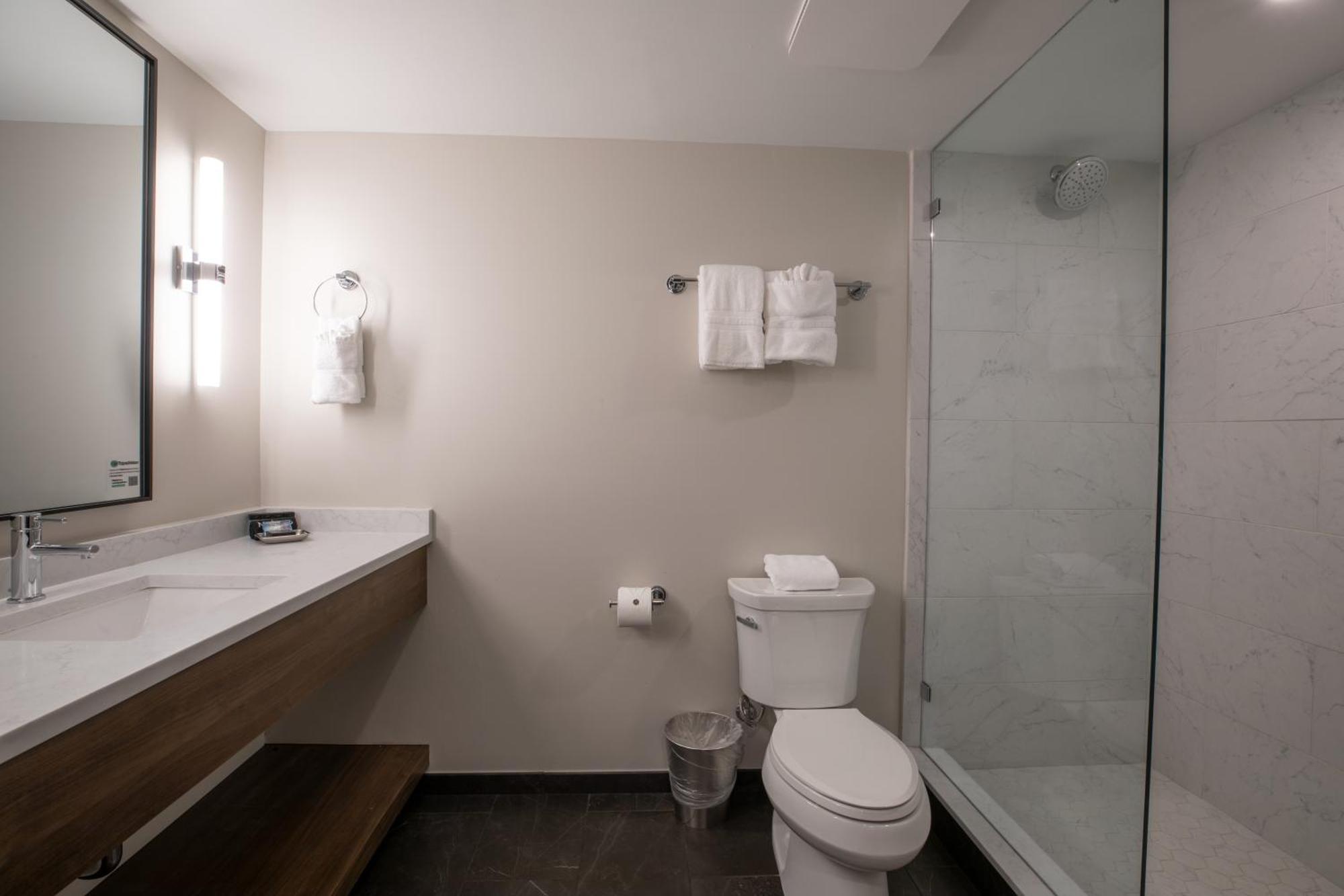 Queen Suite