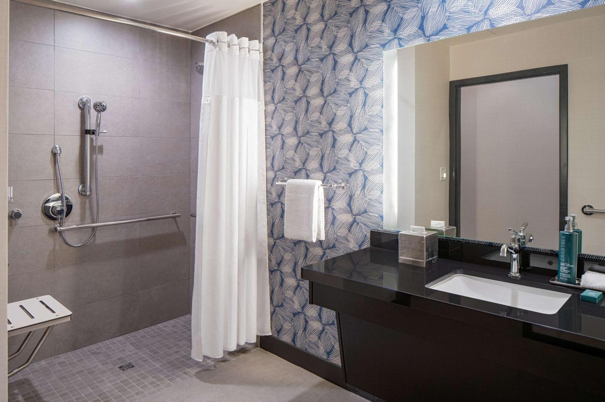 King Room Roll Shower Mobility or Hearing Accessible