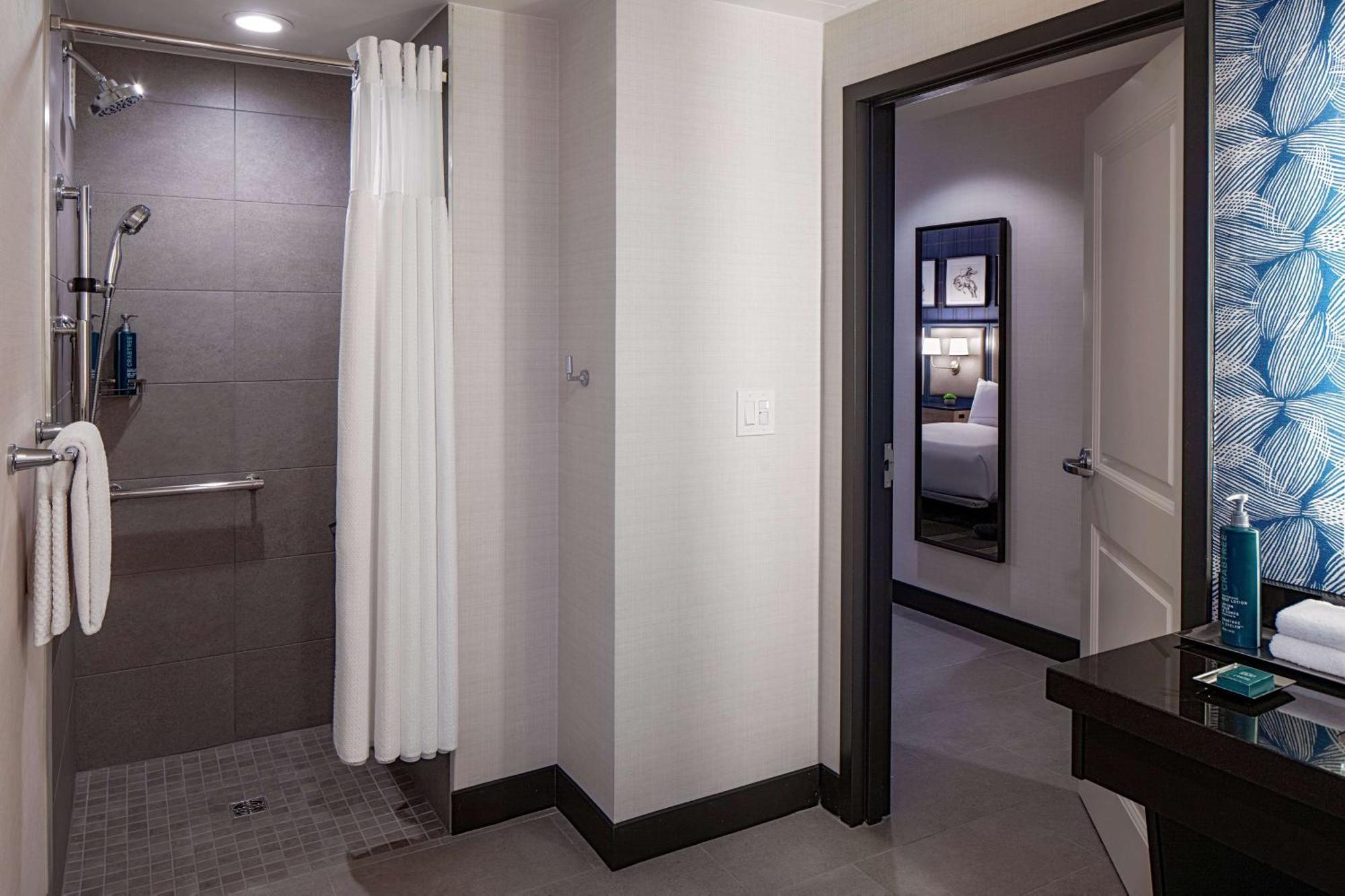 King Room Roll Shower Mobility or Hearing Accessible