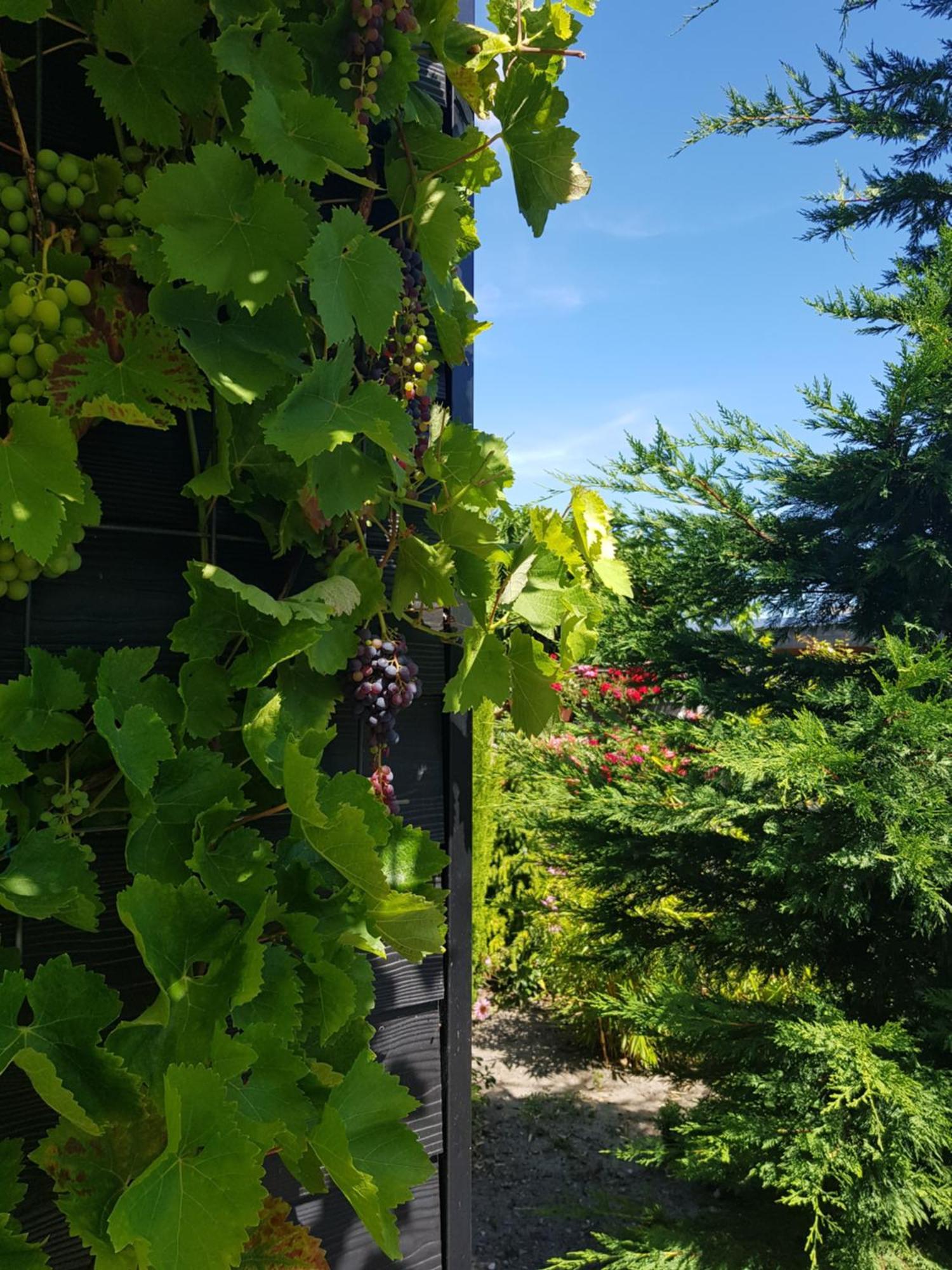 Double Room Garden View