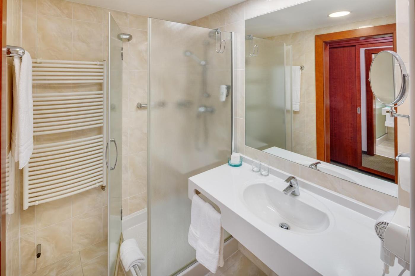 Standard Double Room Wellness access