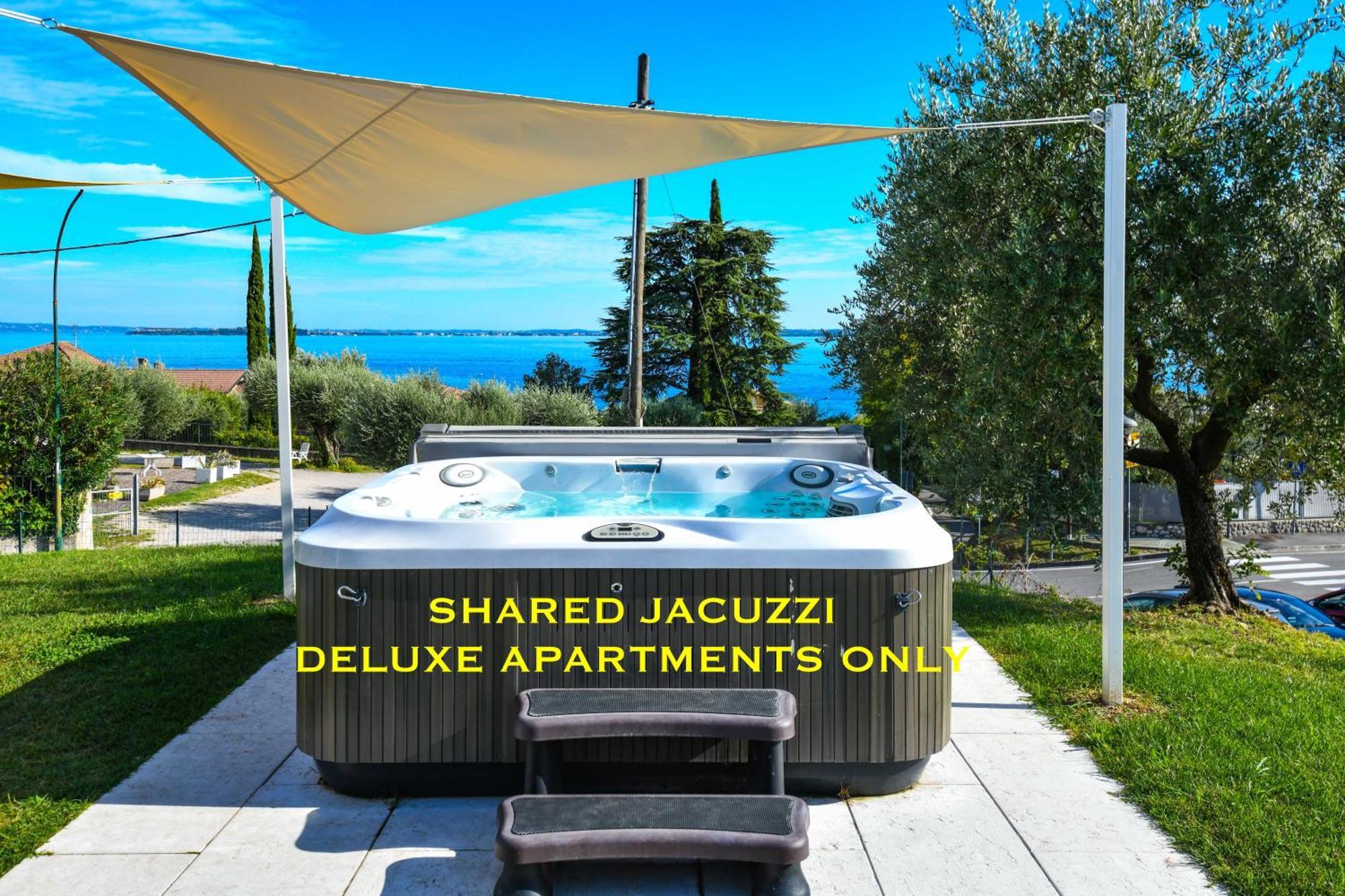 Deluxe One-Bedroom Apartment