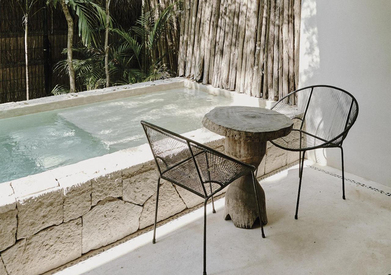 Tropical Room Plunge Pool Private Garden