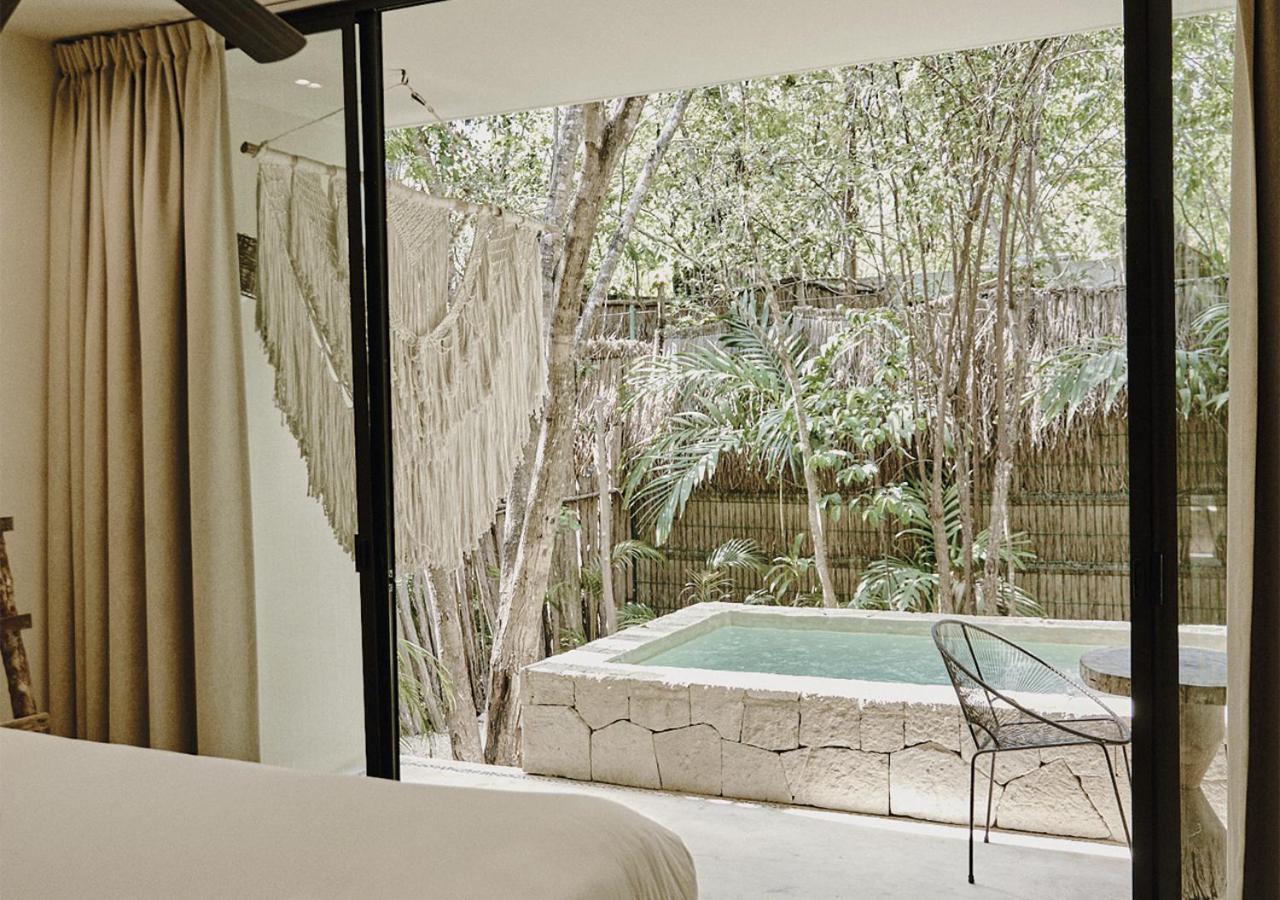 Tropical Room Plunge Pool Private Garden