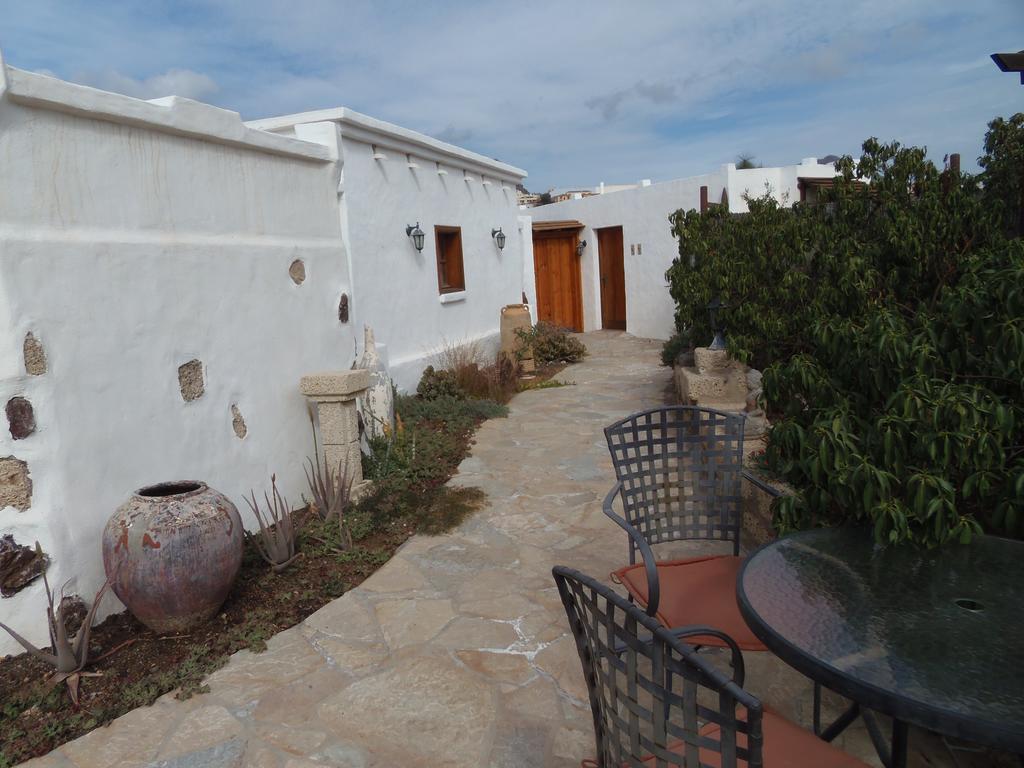 Studio Terrace