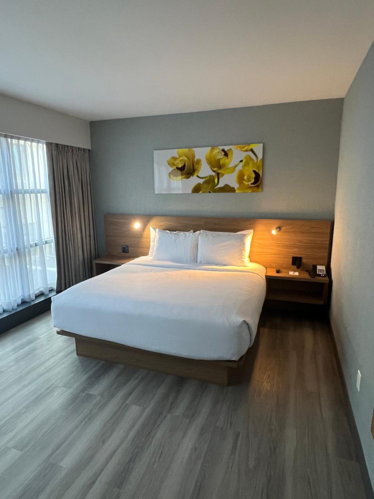 King Room Mobility or Hearing Access Roll Shower or Pet-Friendly Non-Smoking