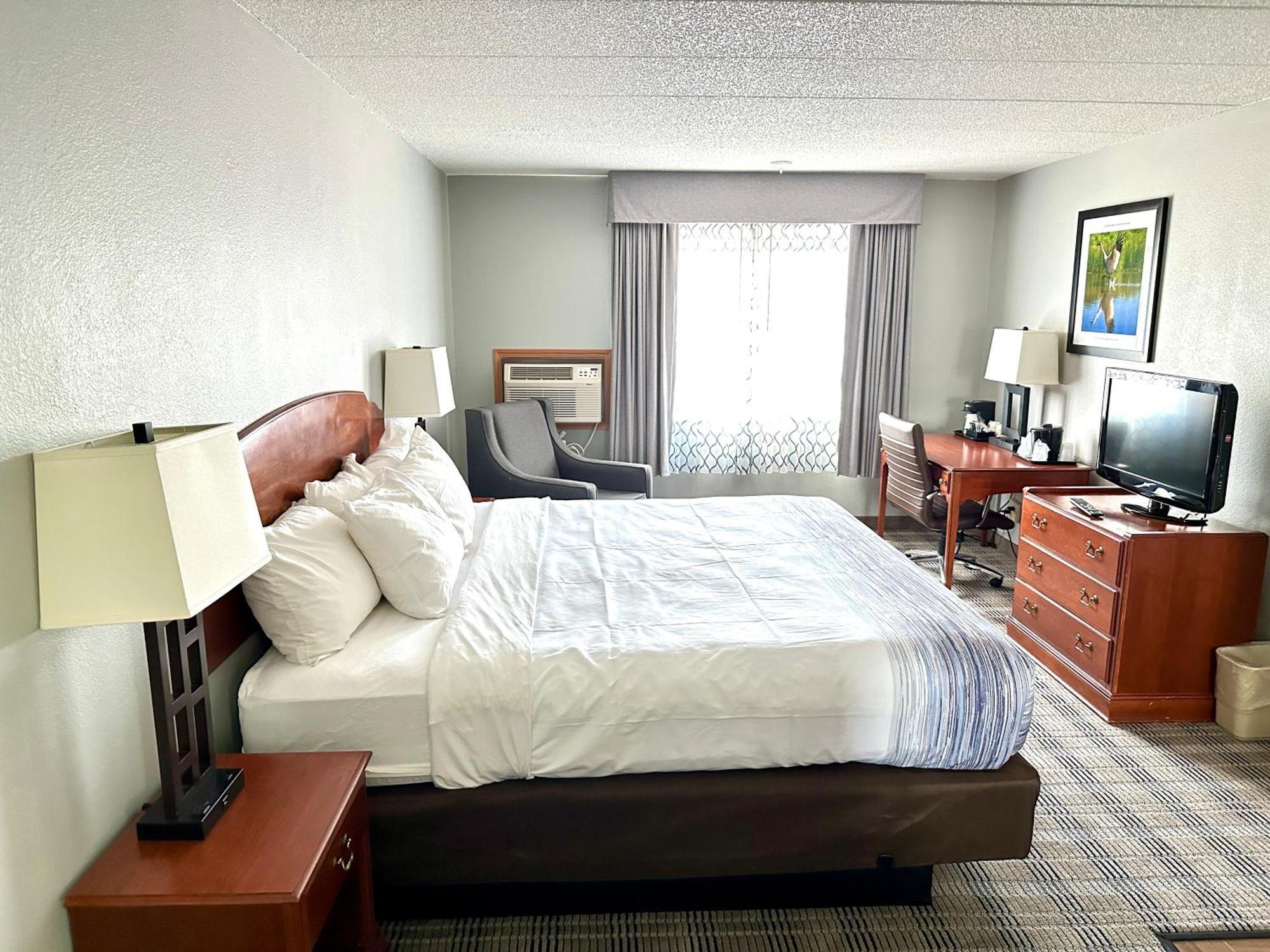 King Room - Non-Smoking