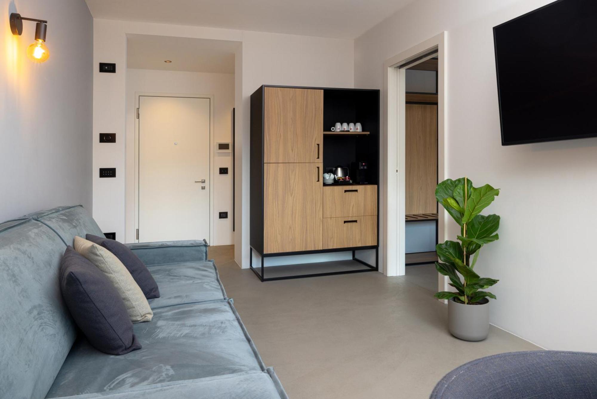 Deluxe One-Bedroom Apartment