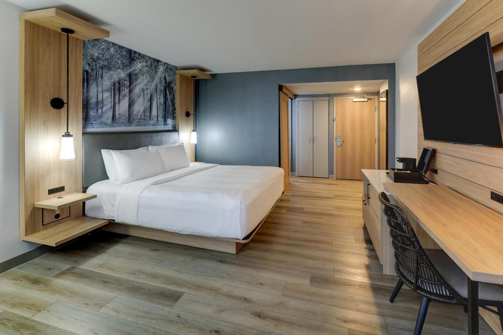 King or Double Room