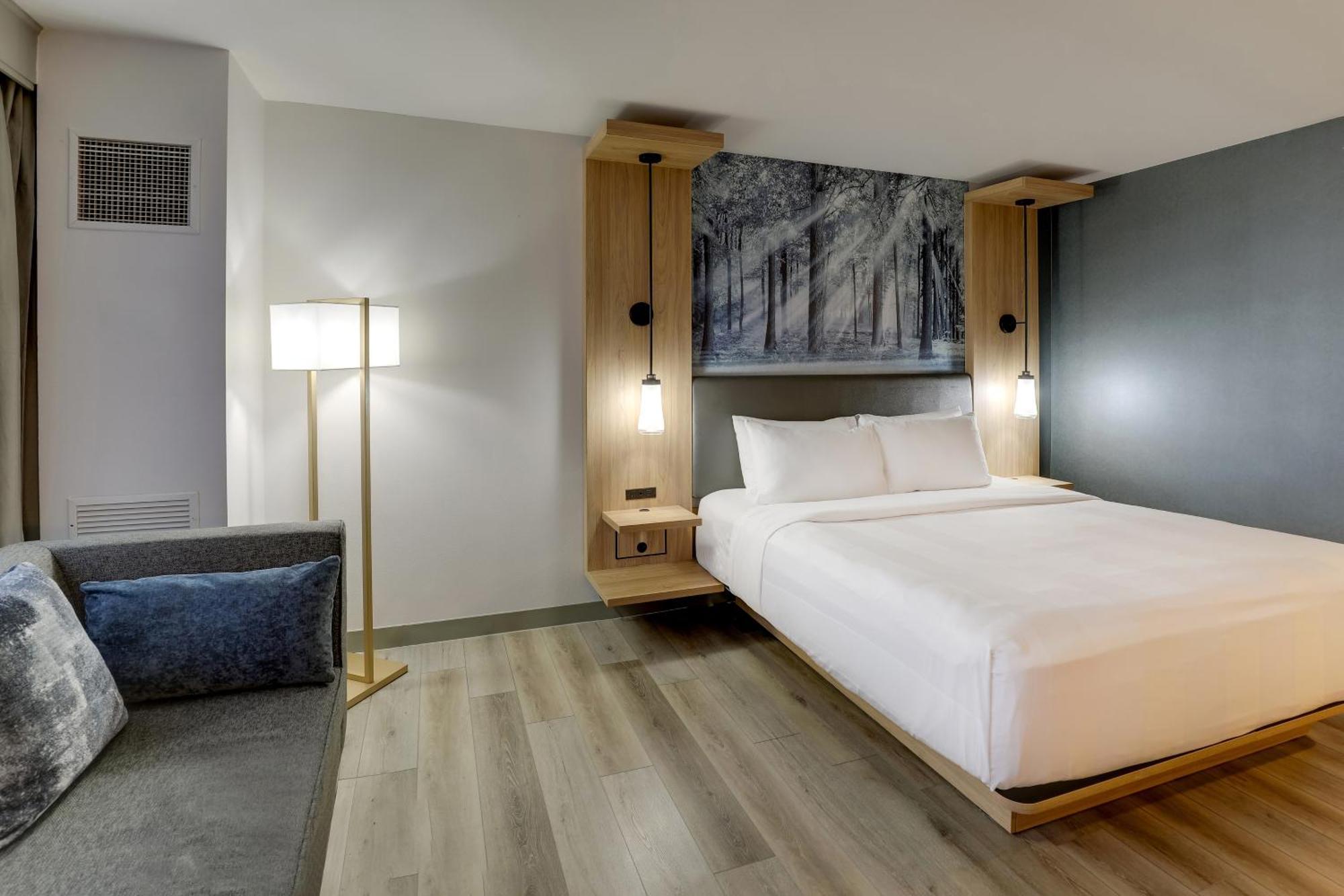 King or Double Room