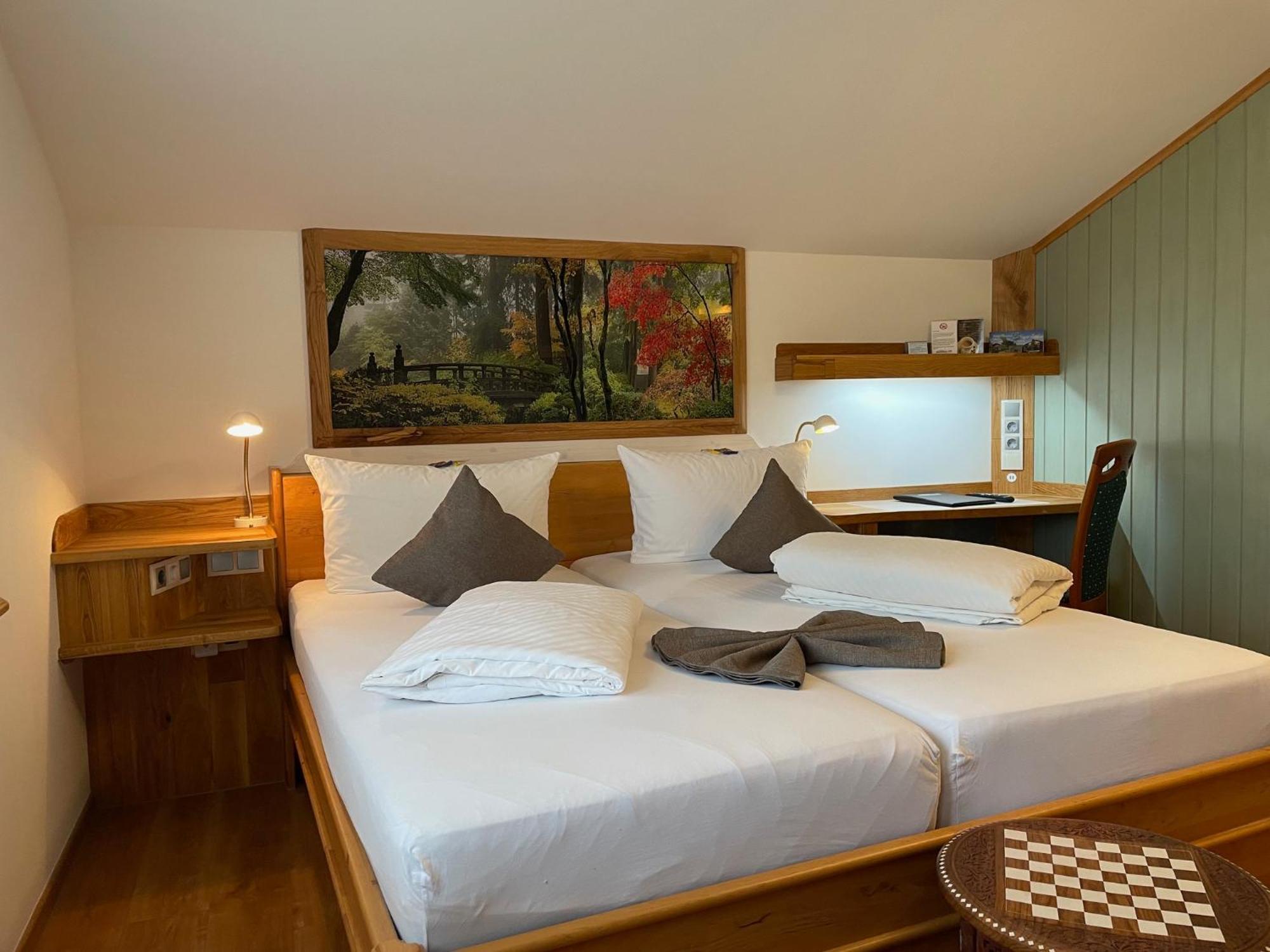 Double or Twin Room