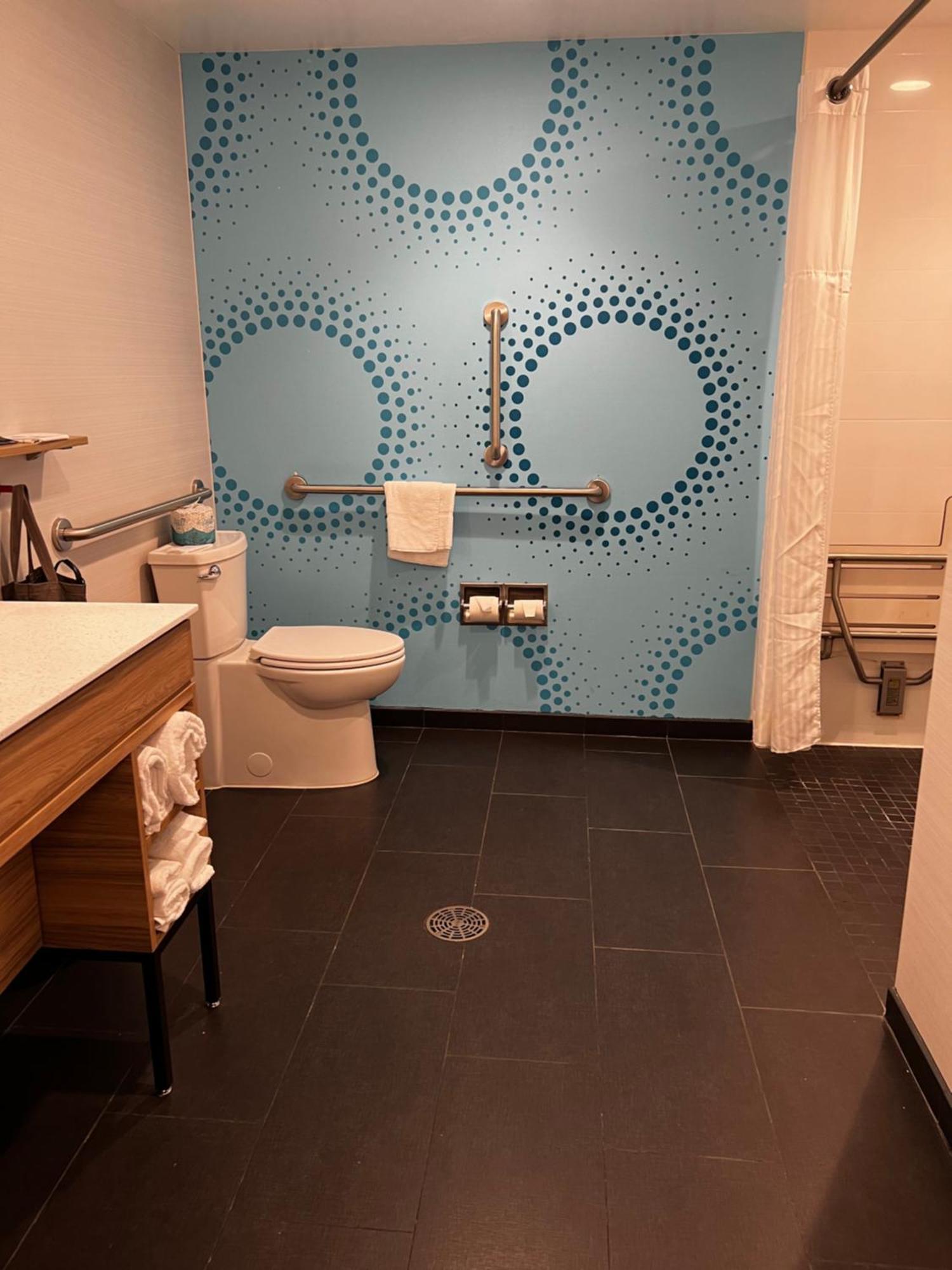 King Room Roll Shower Mobility Access