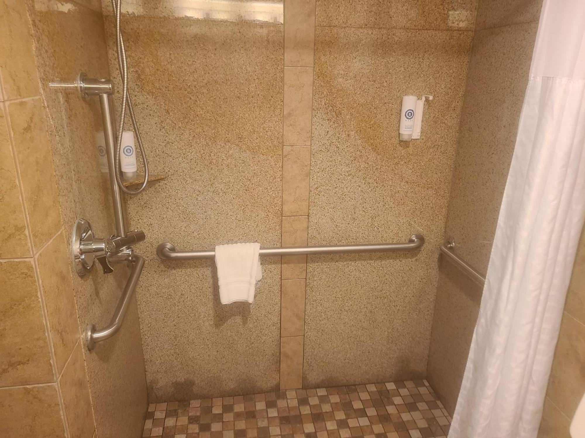 King Room Roll Shower Accessible or Non-Smoking