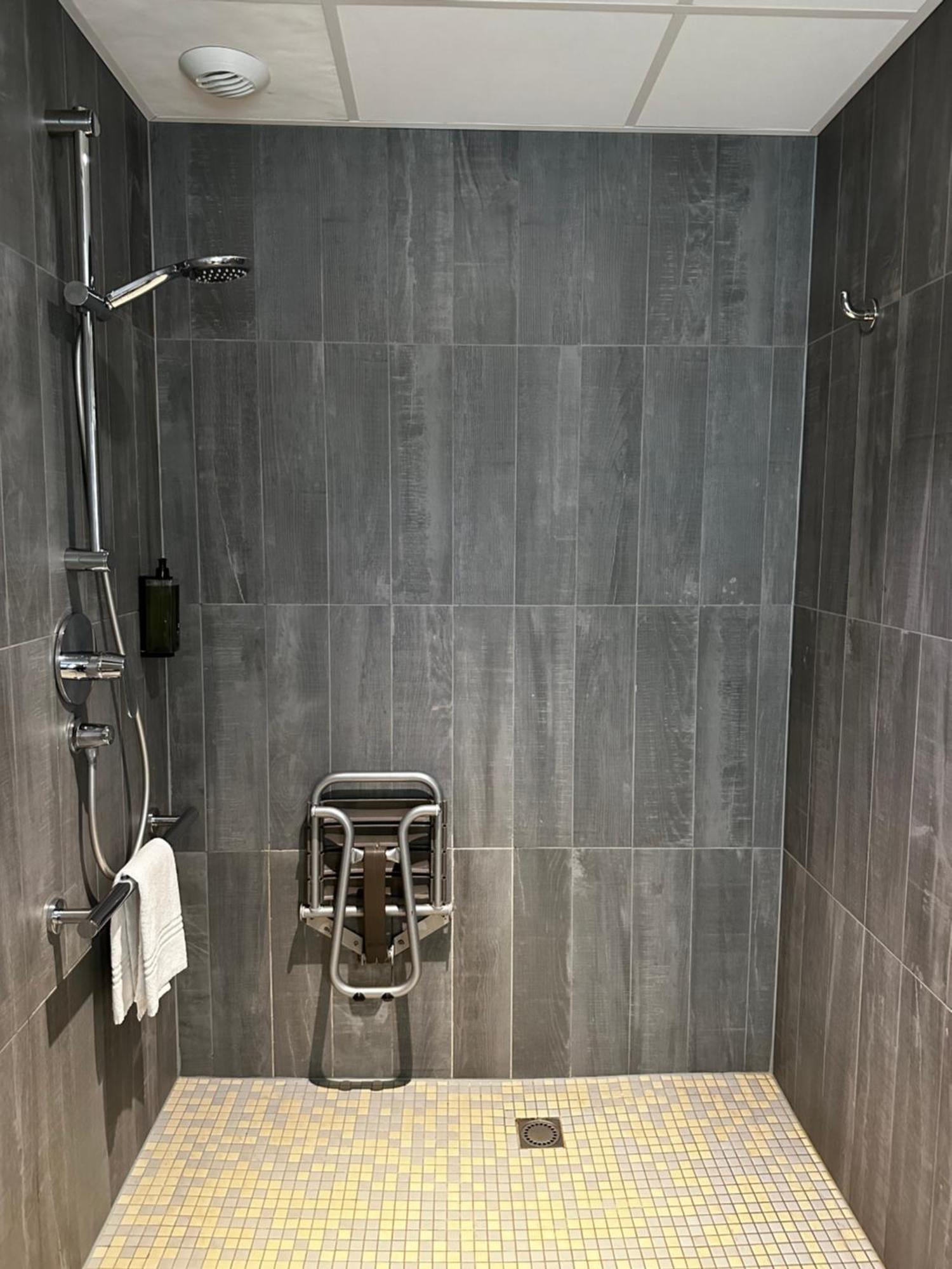Superior Room walk shower Mobility Access