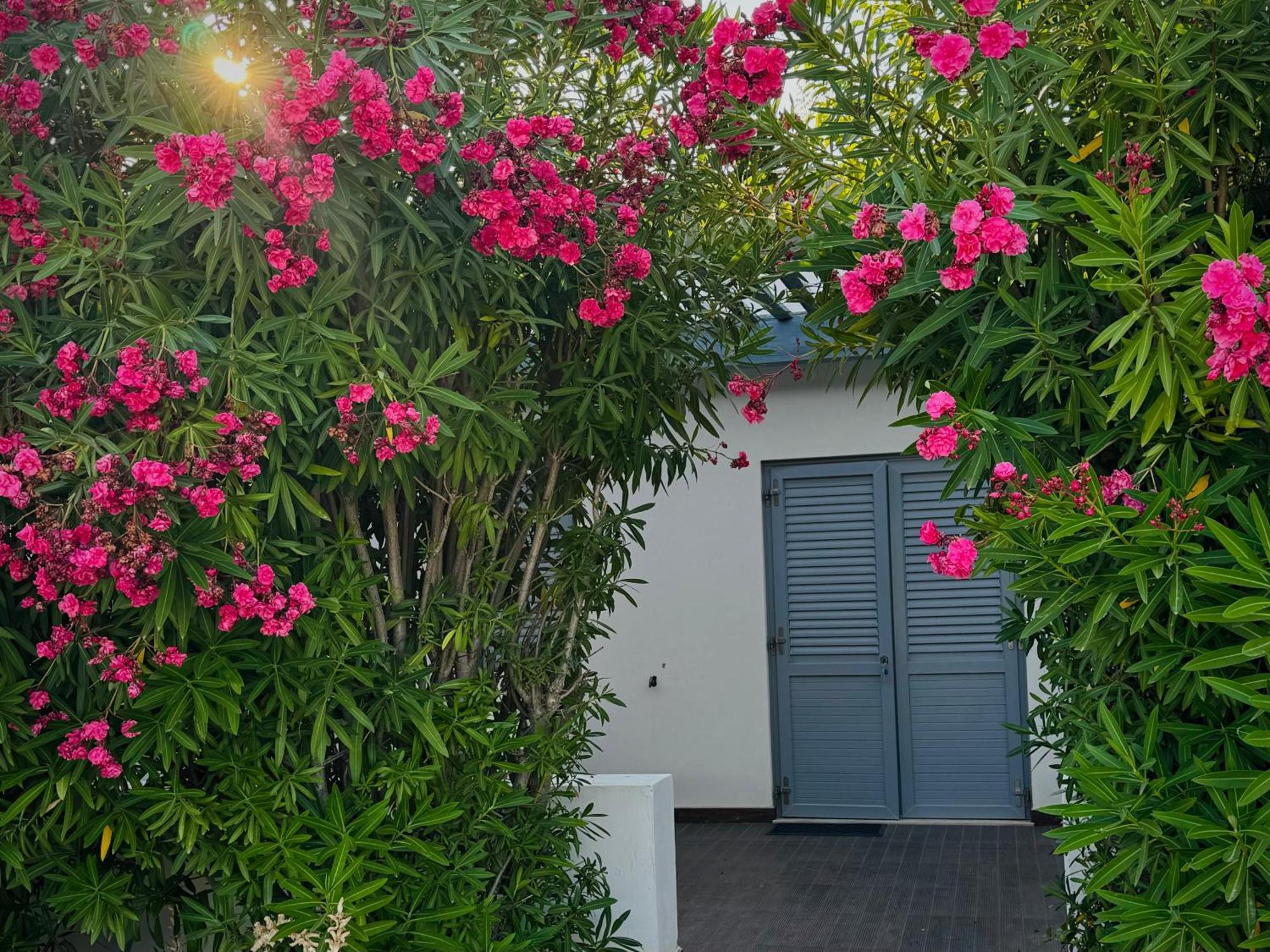 Double Room Garden View