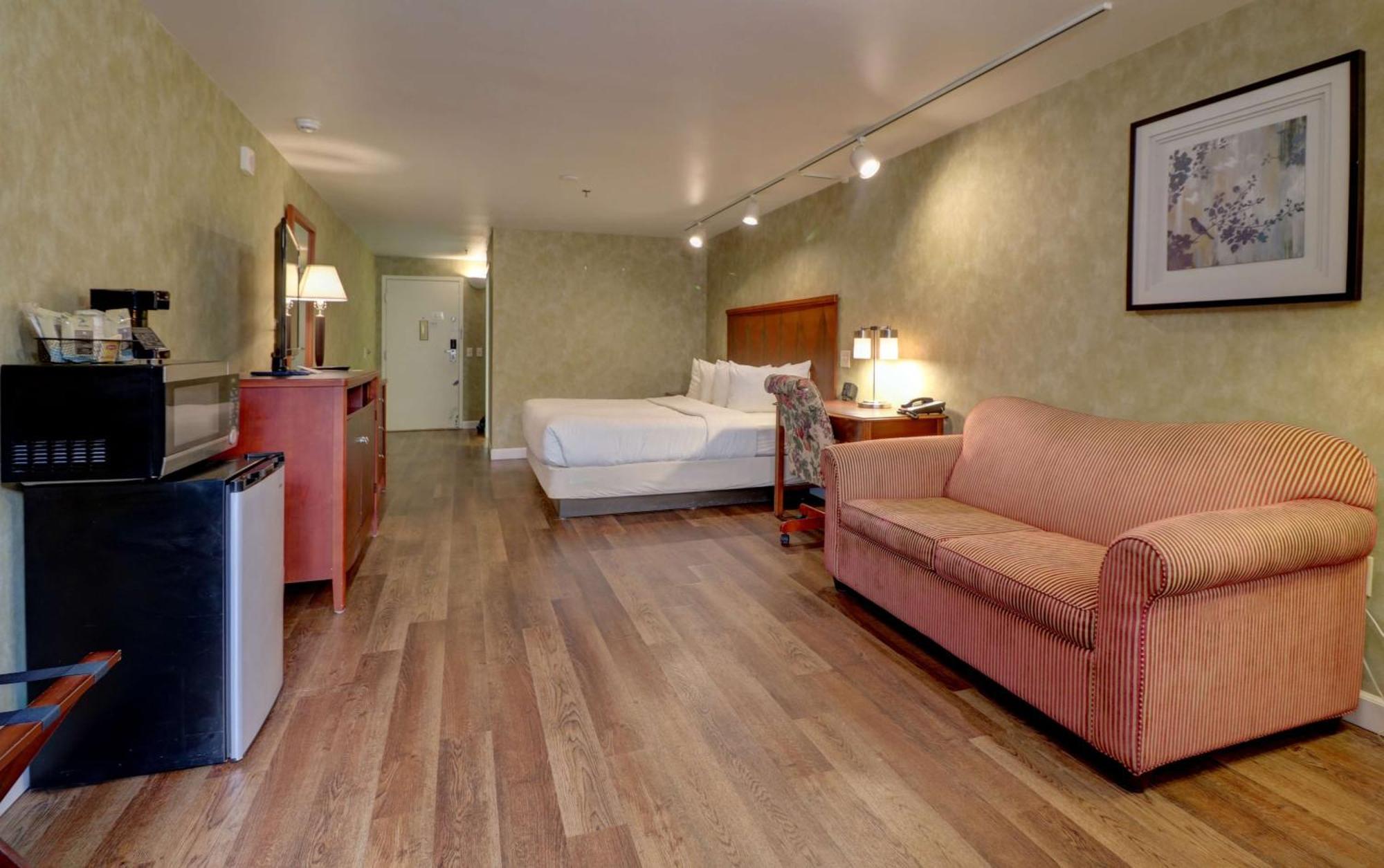 Premium 1 King Pet-friendly,1690937784:JPEG