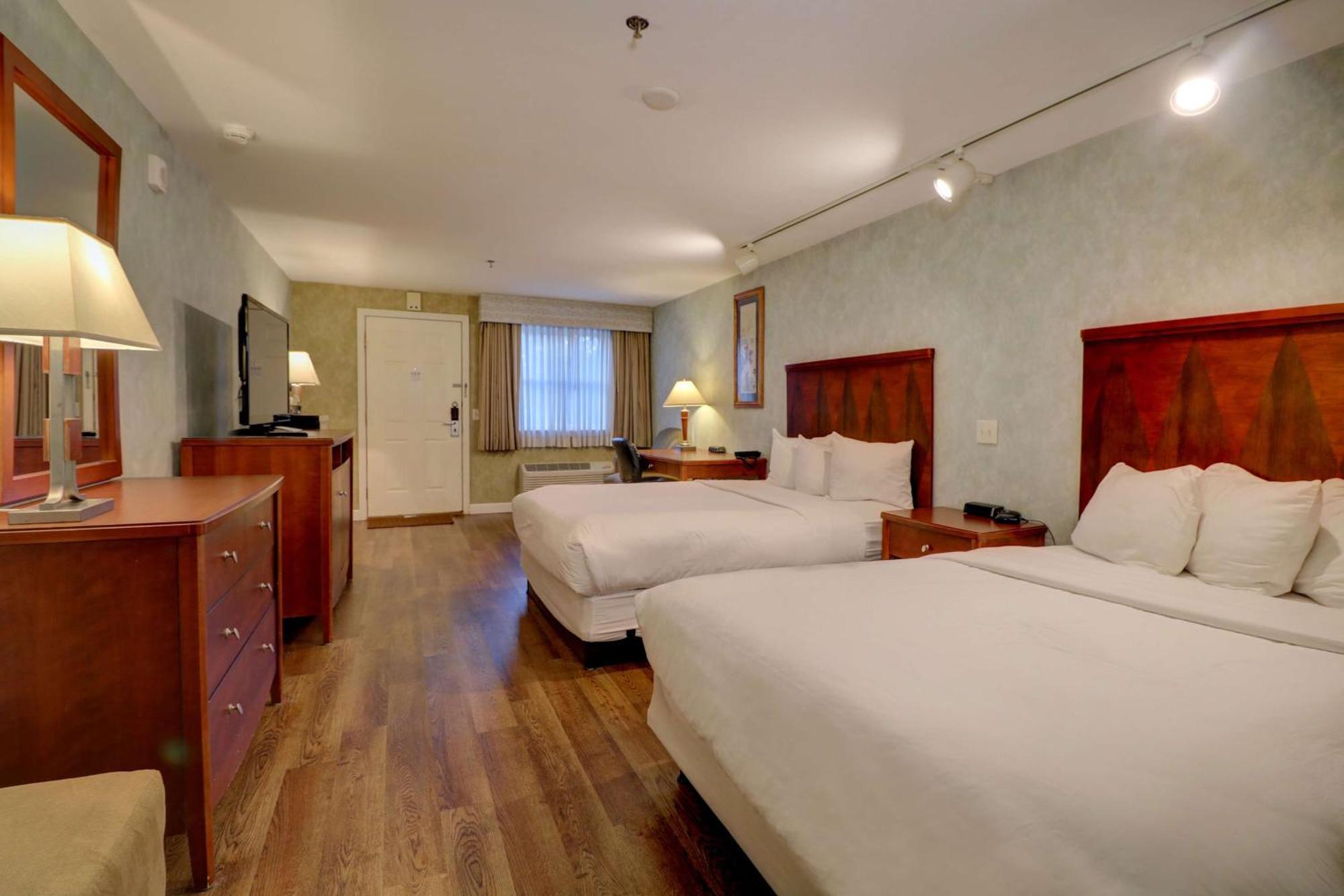 Premium Two Queen | Pet-Friendly