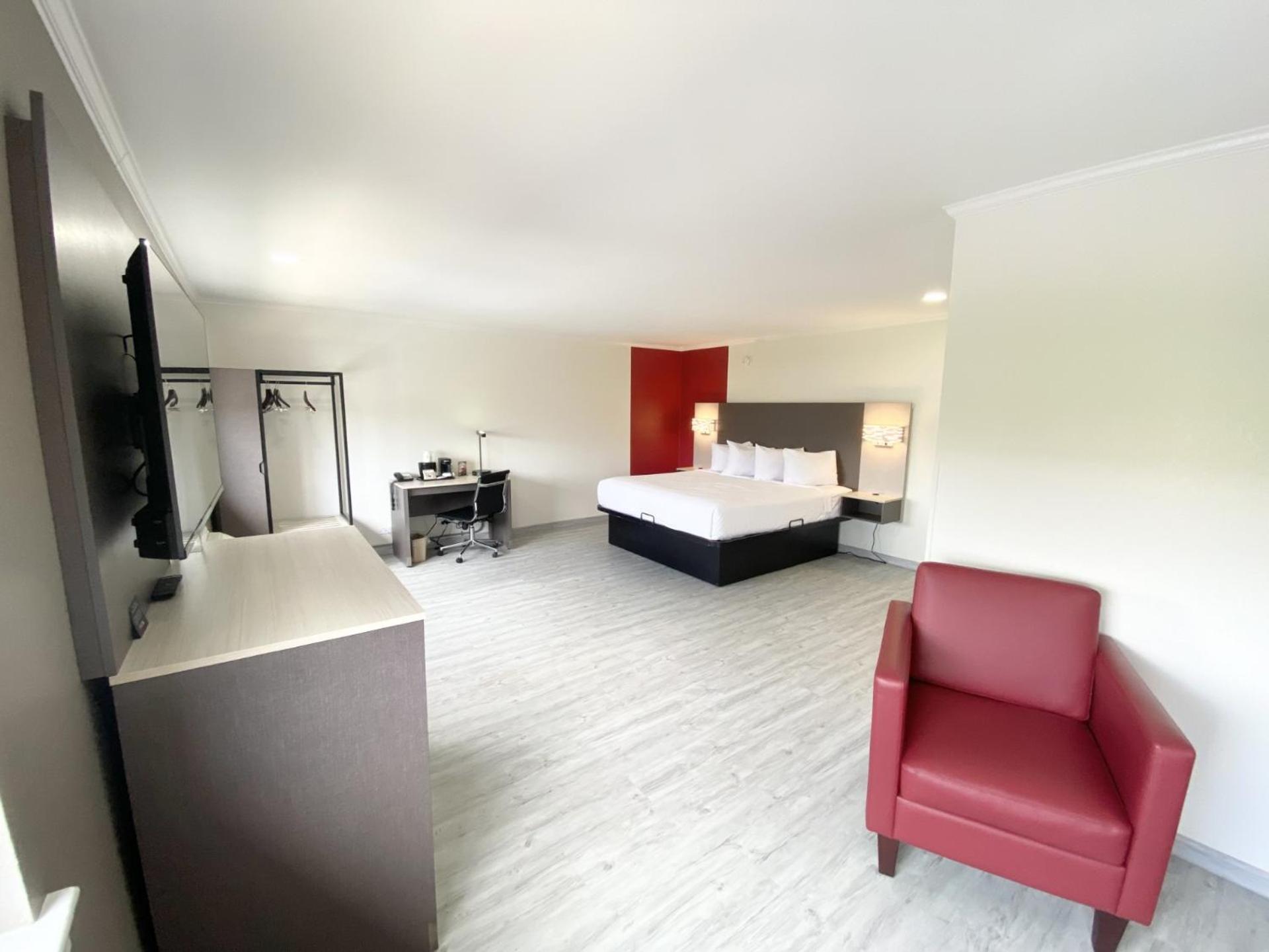 Junior Suite with One King Bed and Sofa Bed - Non-Smoking