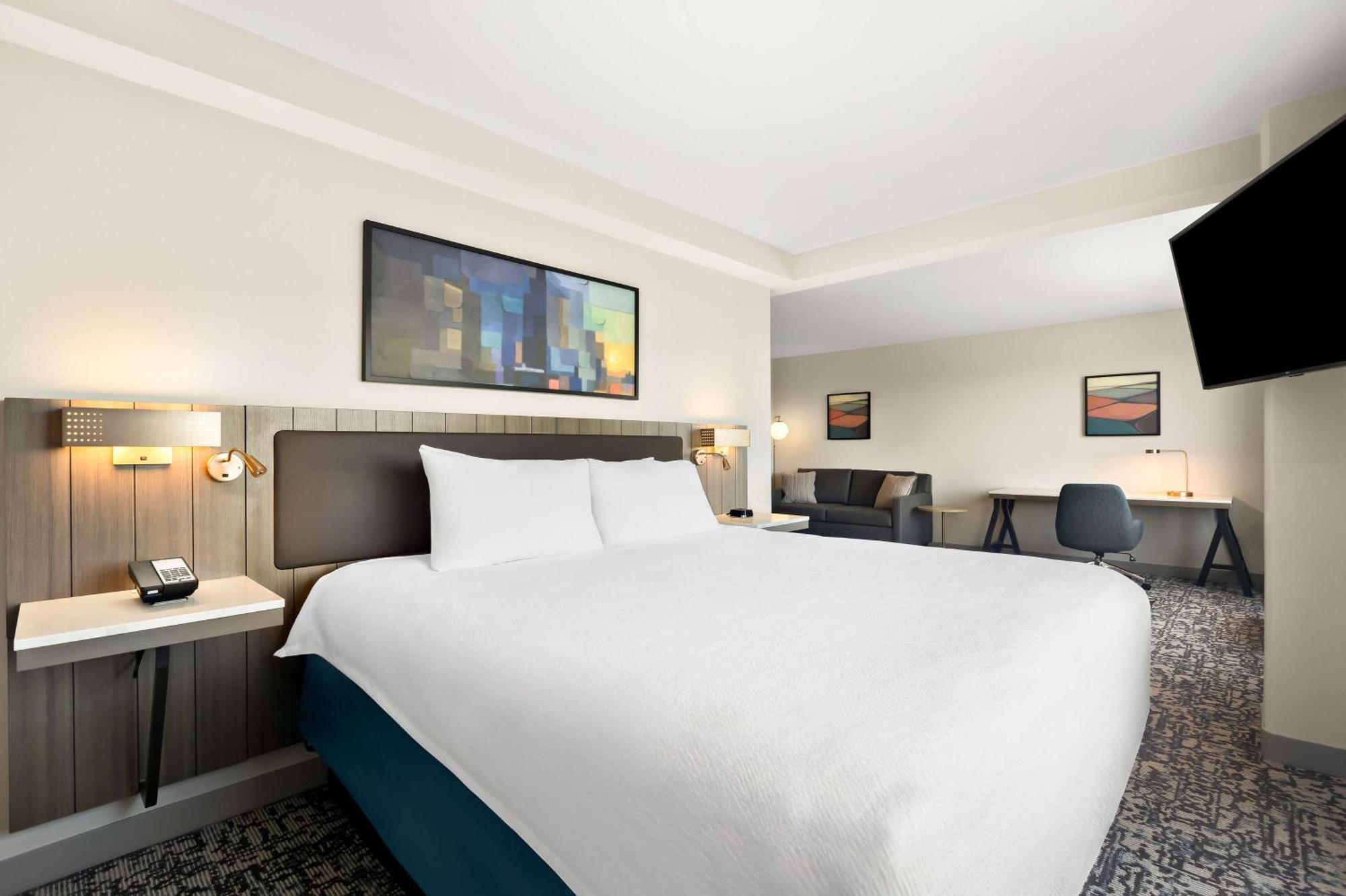Junior King Suite with Sofa Bed