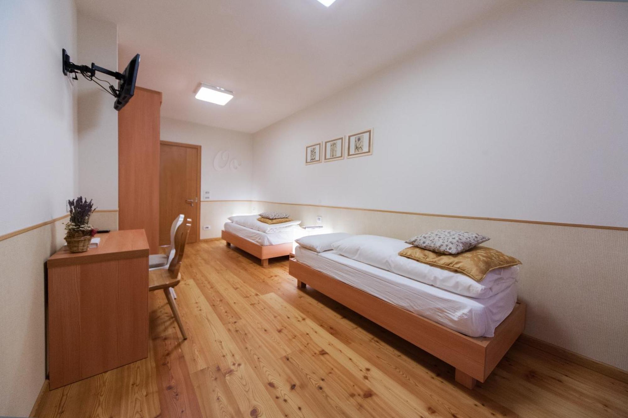 Double or Twin Room Mountain View