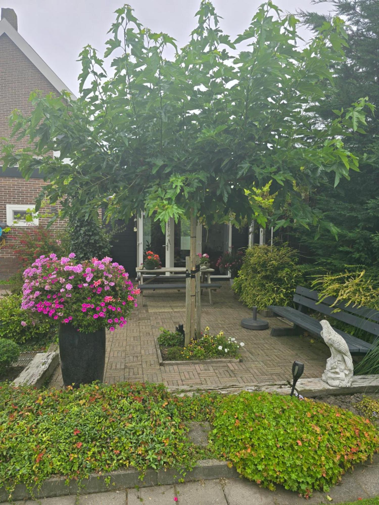 Double Room Garden View