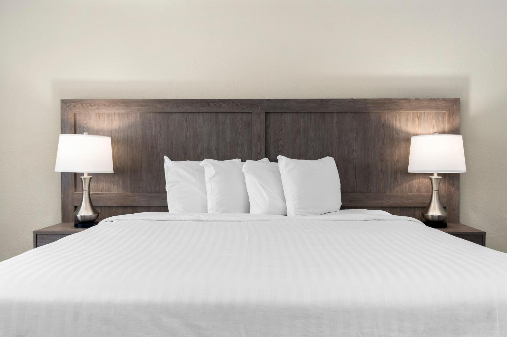 RK SINGLE KING ROOM,1364182382:JPEG