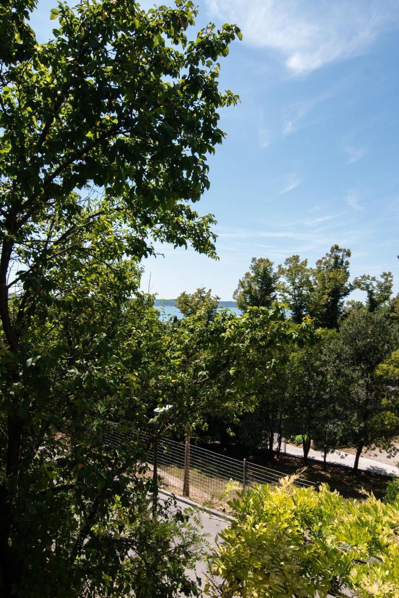 Economy Studio Balcony