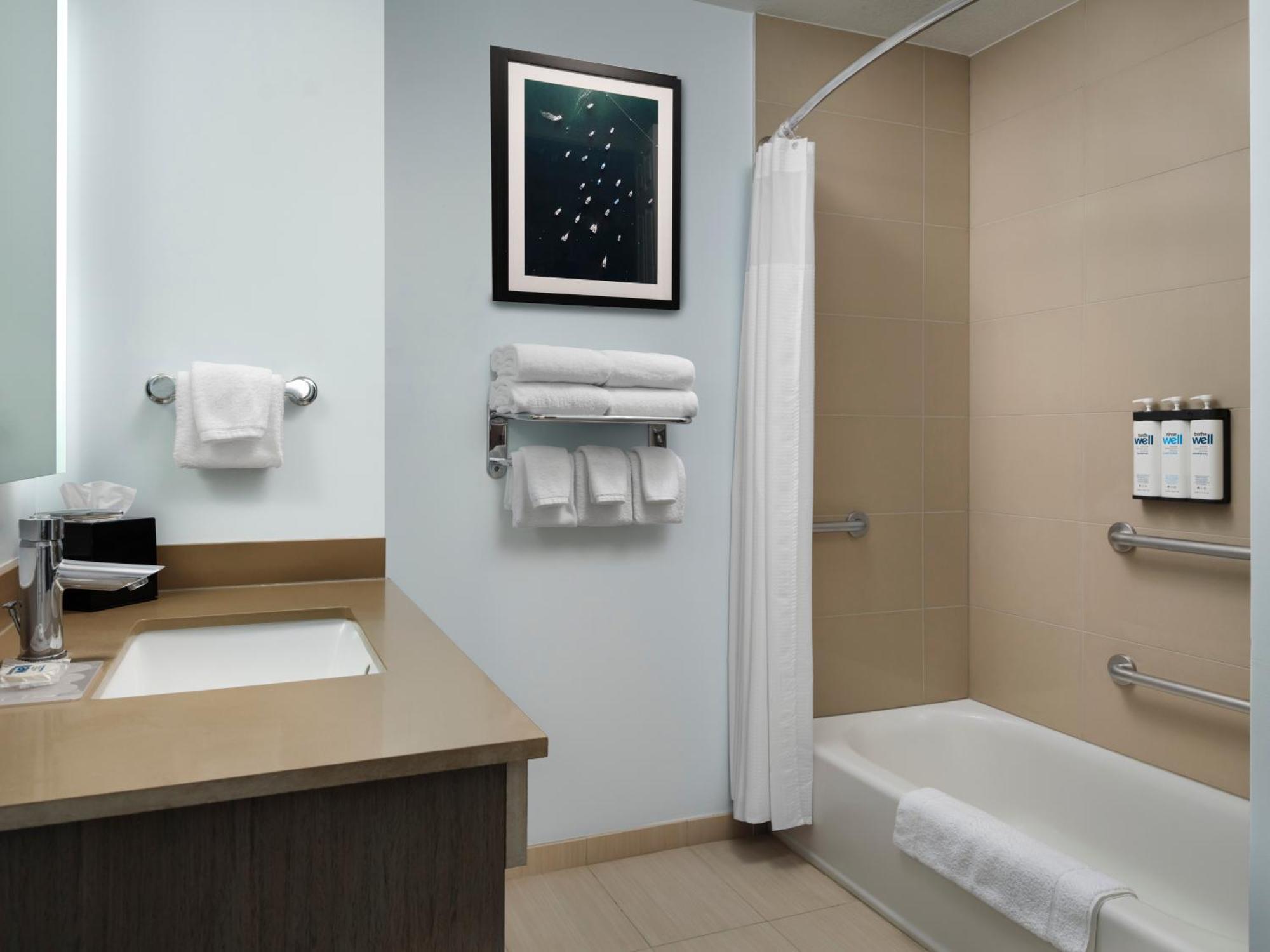 One-Bedroom King Suite Accessible Tub Disability Access