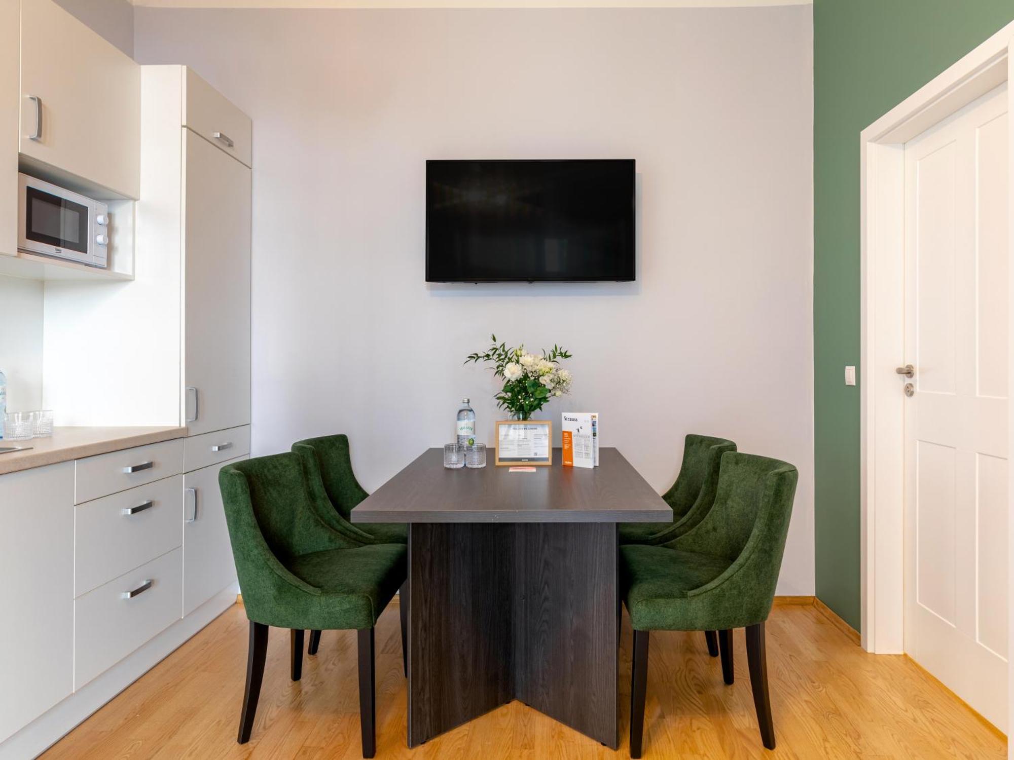 Extra Large 1 Bedroom Apartment Sofabed
