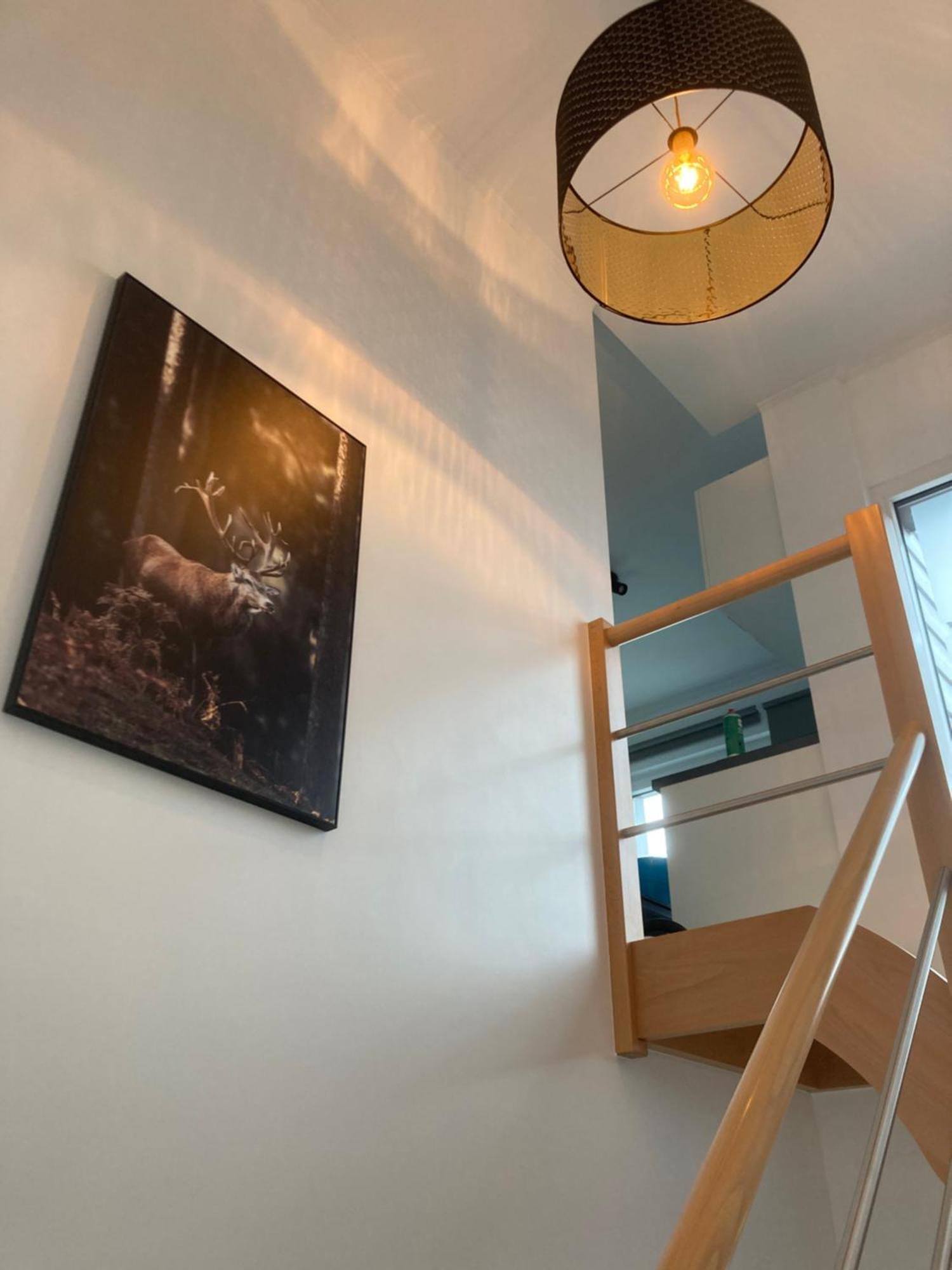 Suite Terrace