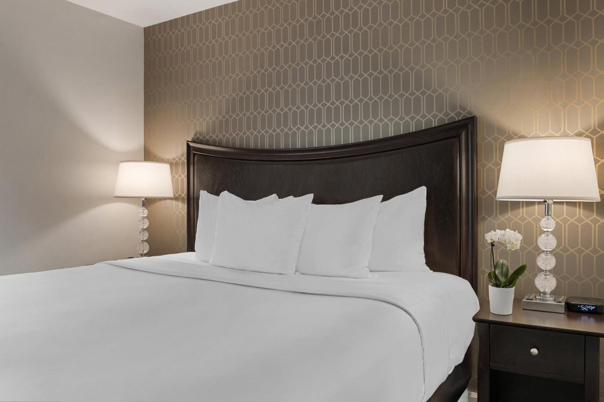 King Suite Sofa Bed,1609310136:JPEG