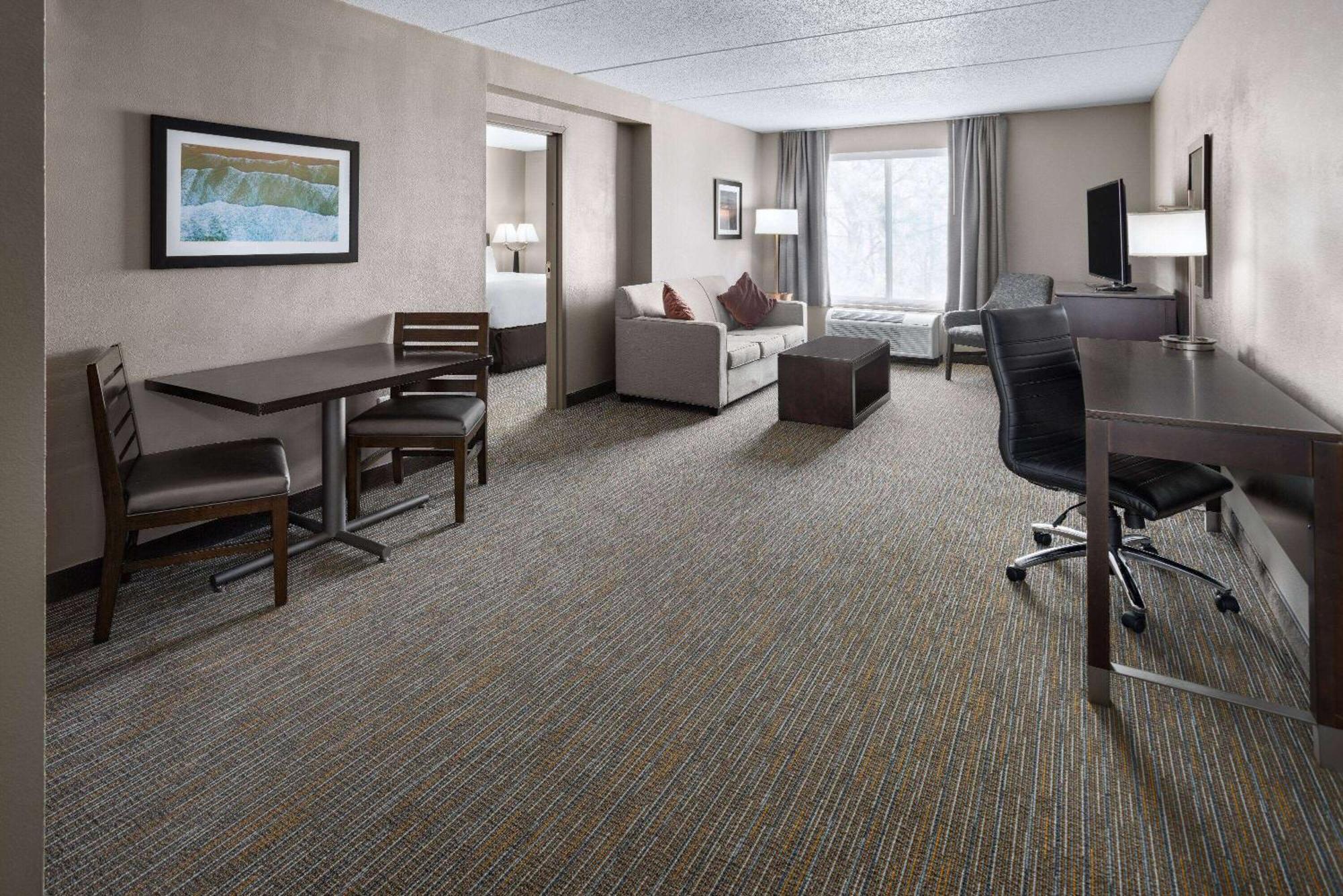 Deluxe King Suite