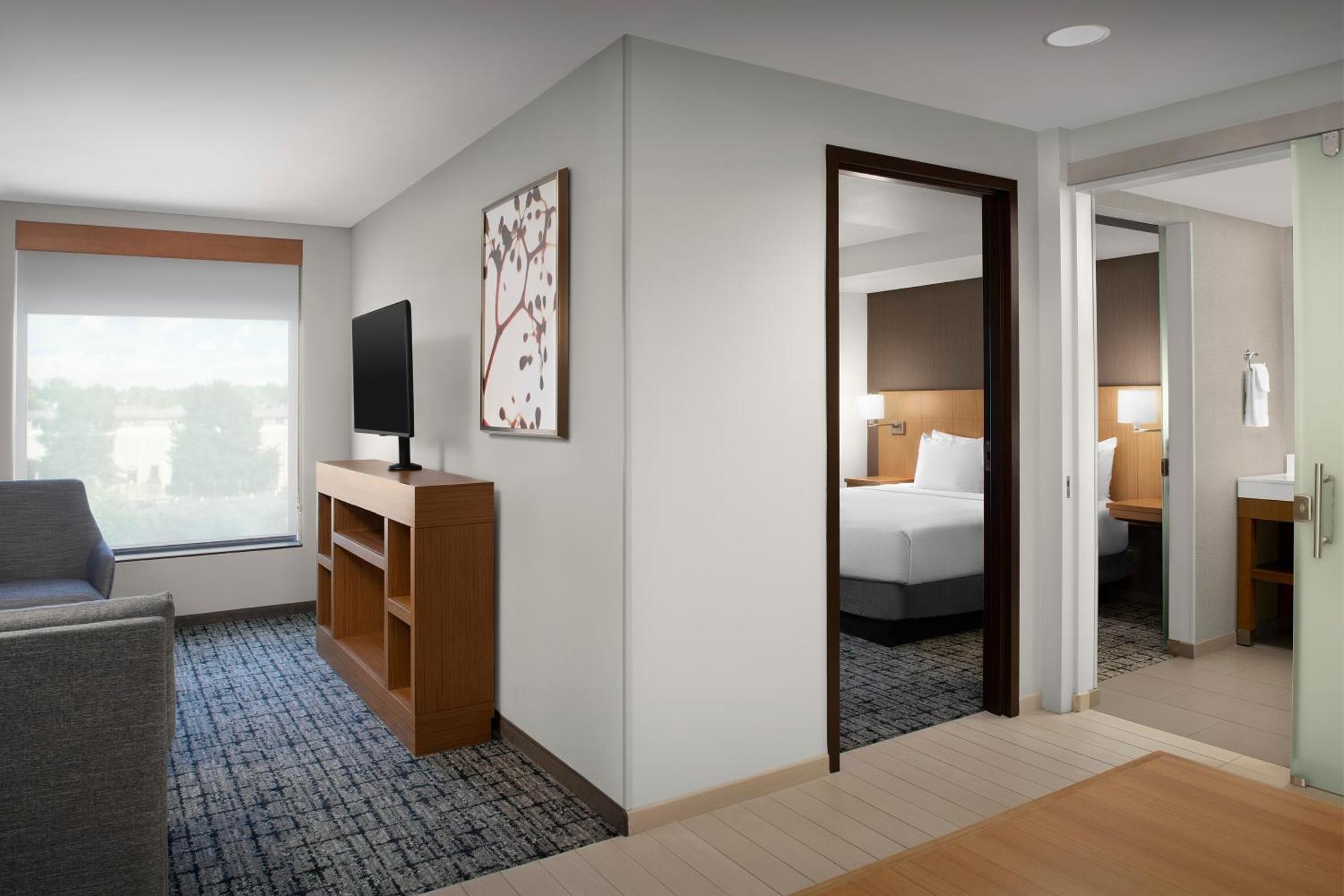 One-Bedroom King Suite Sofa Bed,1611130293:JPEG