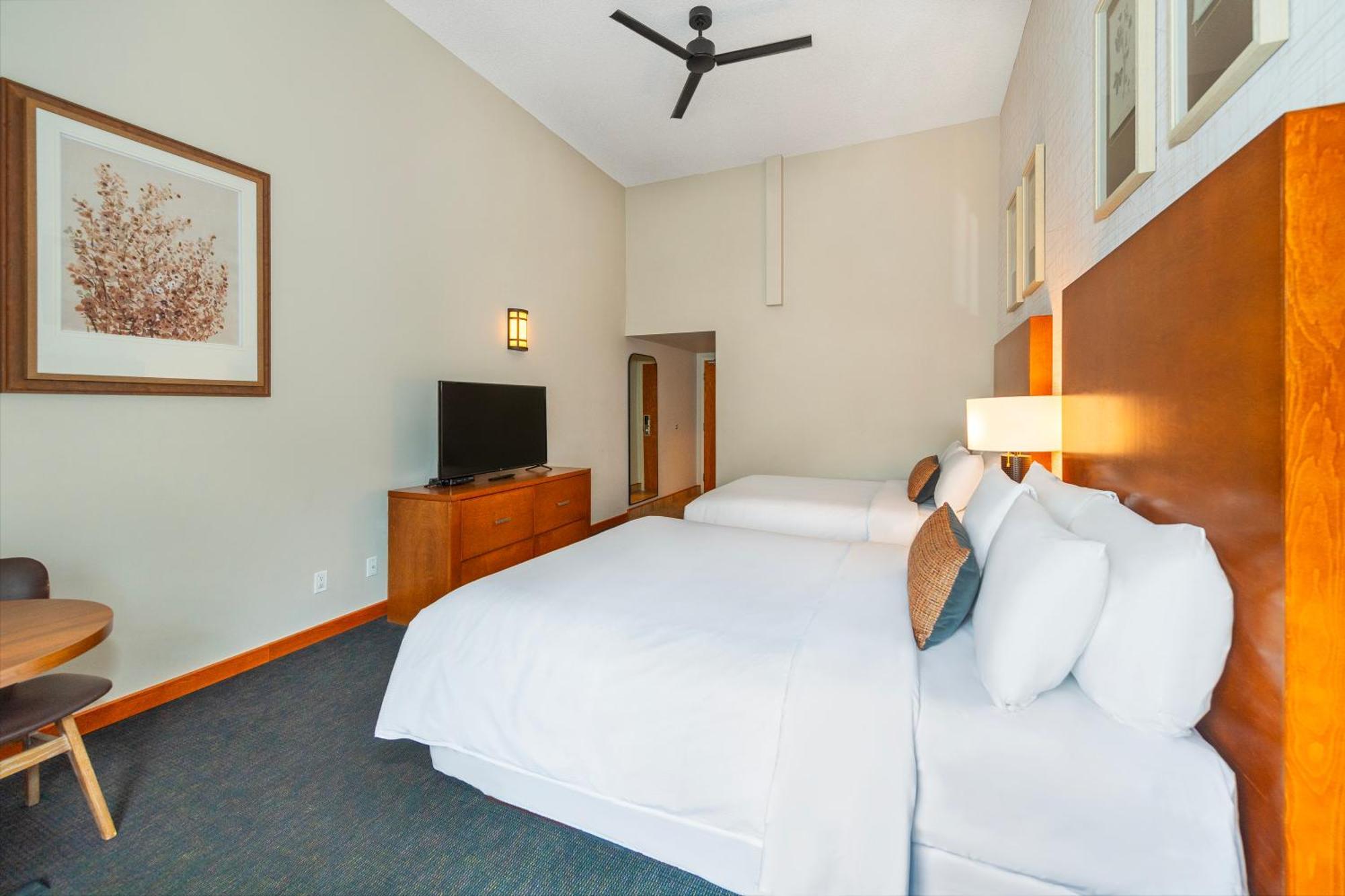 Superior Queen Room