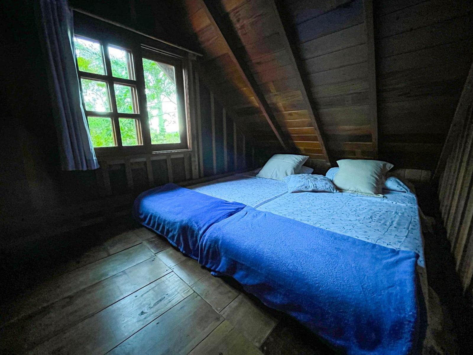 Superior Twin Room Garden View