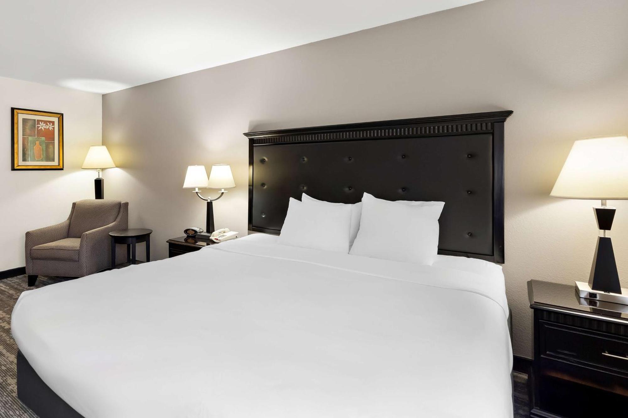 King Room Pet Friendly or Non-Smoking,1614787635:JPEG