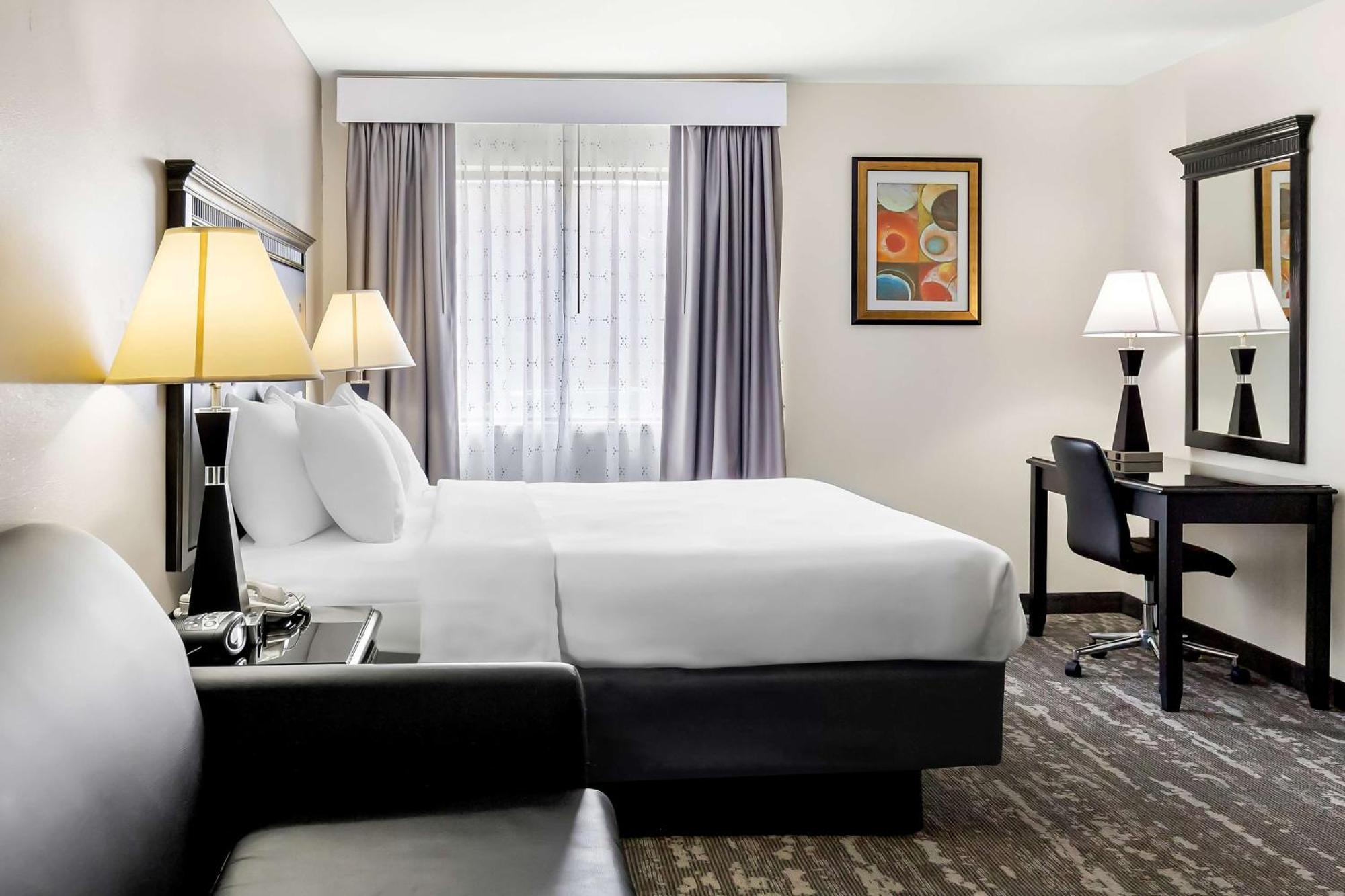 King Room Sofa Bed Pet Friendly