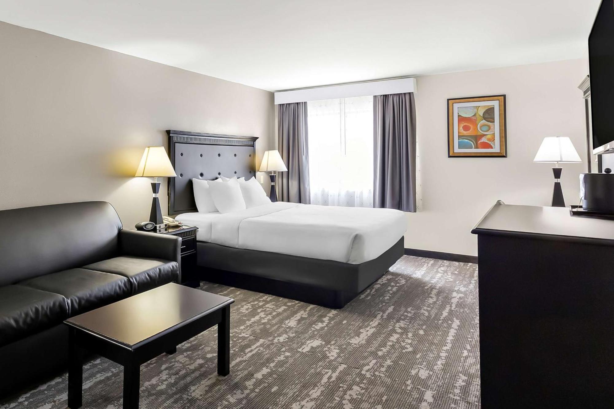 King Room Sofa Bed Pet Friendly,1614787654:JPEG