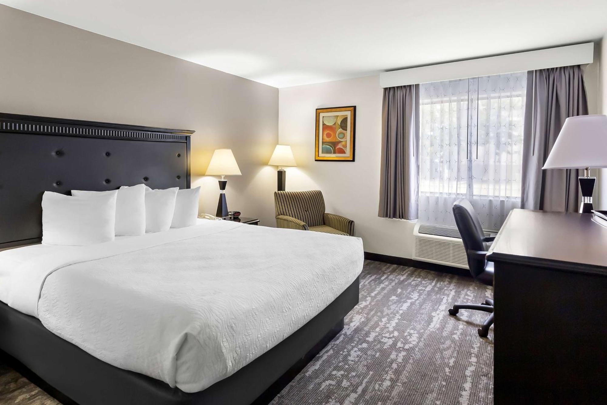 King Room Bath Tub Disability Access or Pet Friendly,1614787656:JPEG