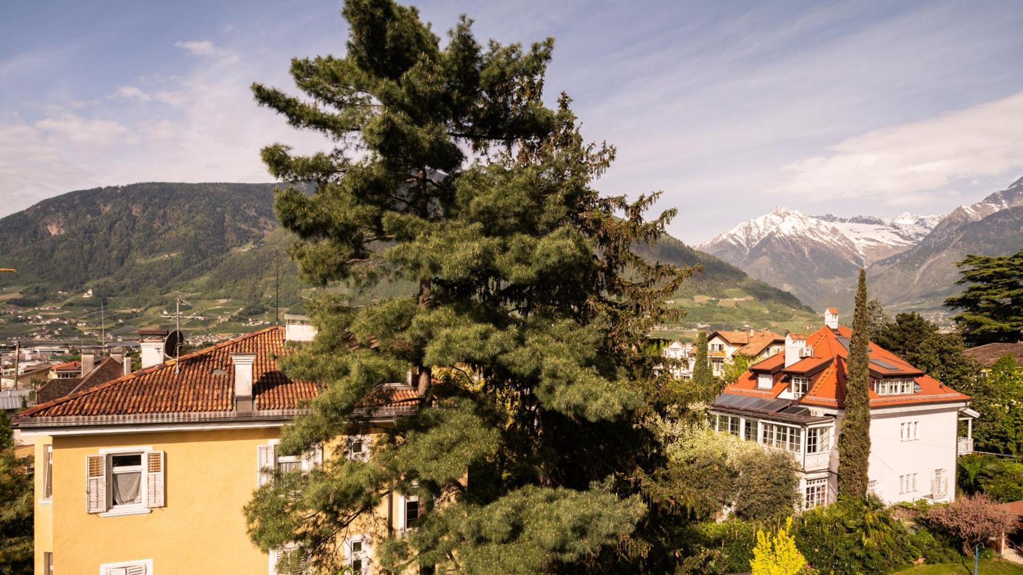 Standard Double Room Vista