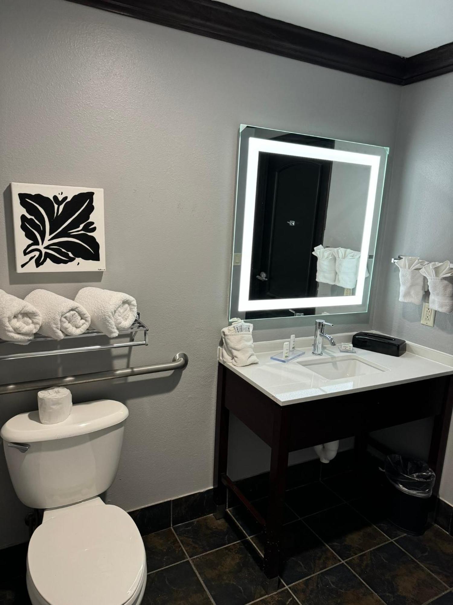 Queen Room Two Queen Beds Roll Shower Mobility or Hearing Accessible Non-Smoking,1616427676:JPEG