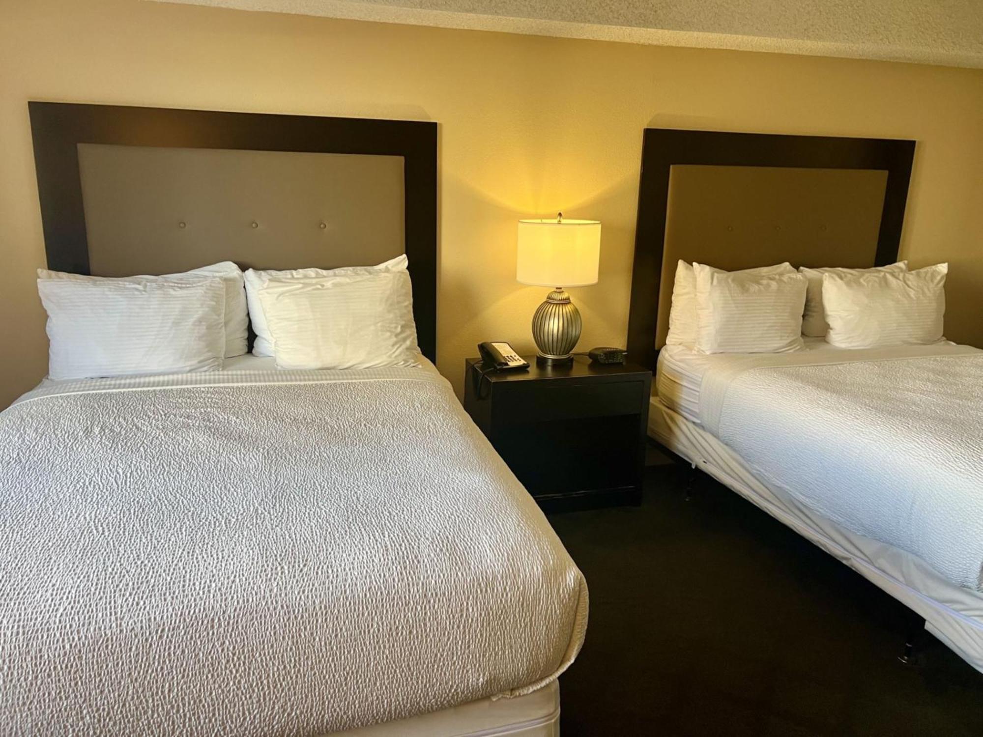 Deluxe One-Bedroom Suite No Resort Fee,120507732:JPEG