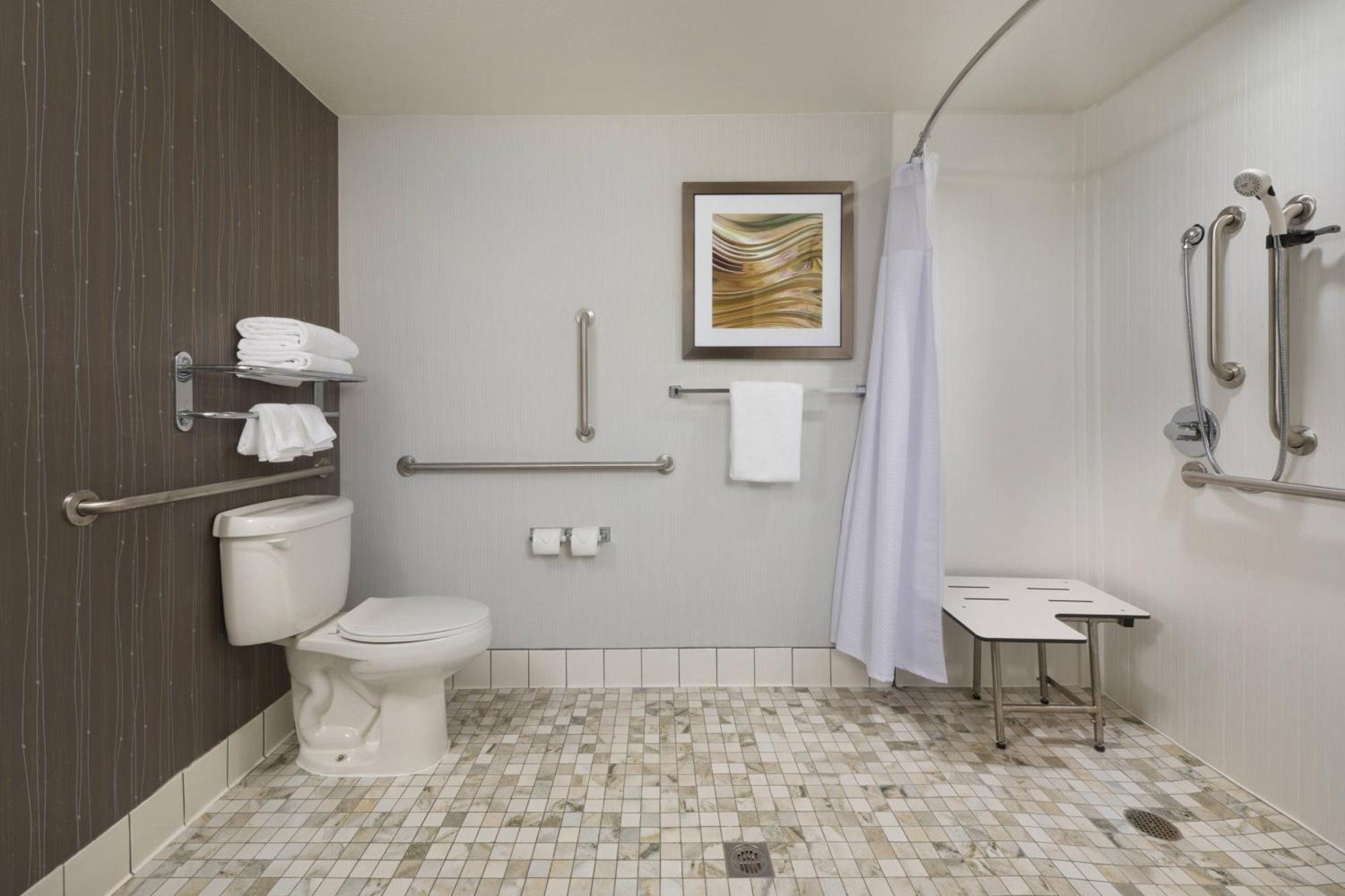 King Room Mountain View Bathtub Mobility Access